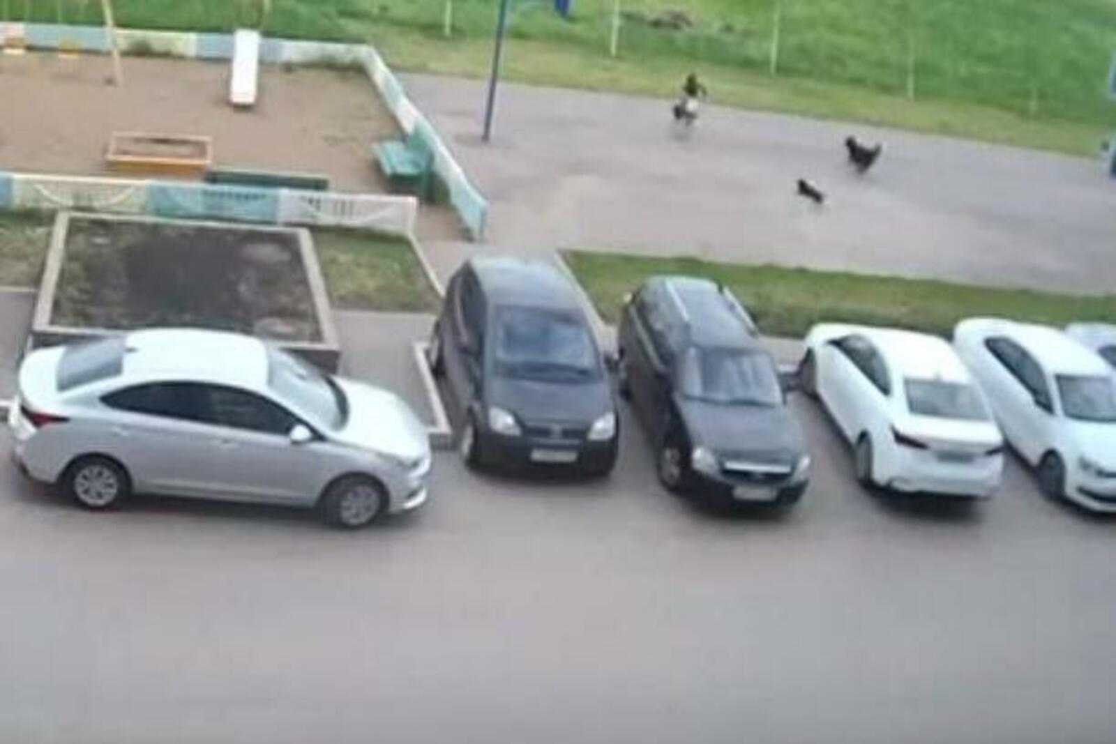 стоп-кадр видео
