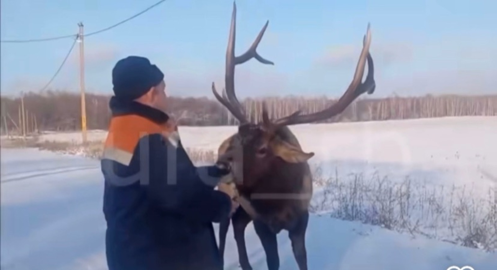 Скриншот видео