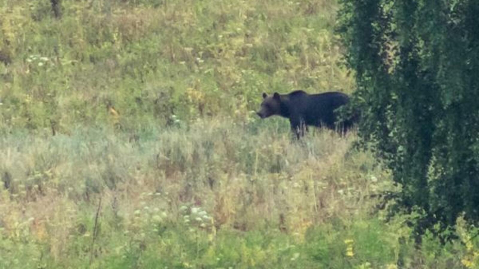 Национальный парк «Башкирия»