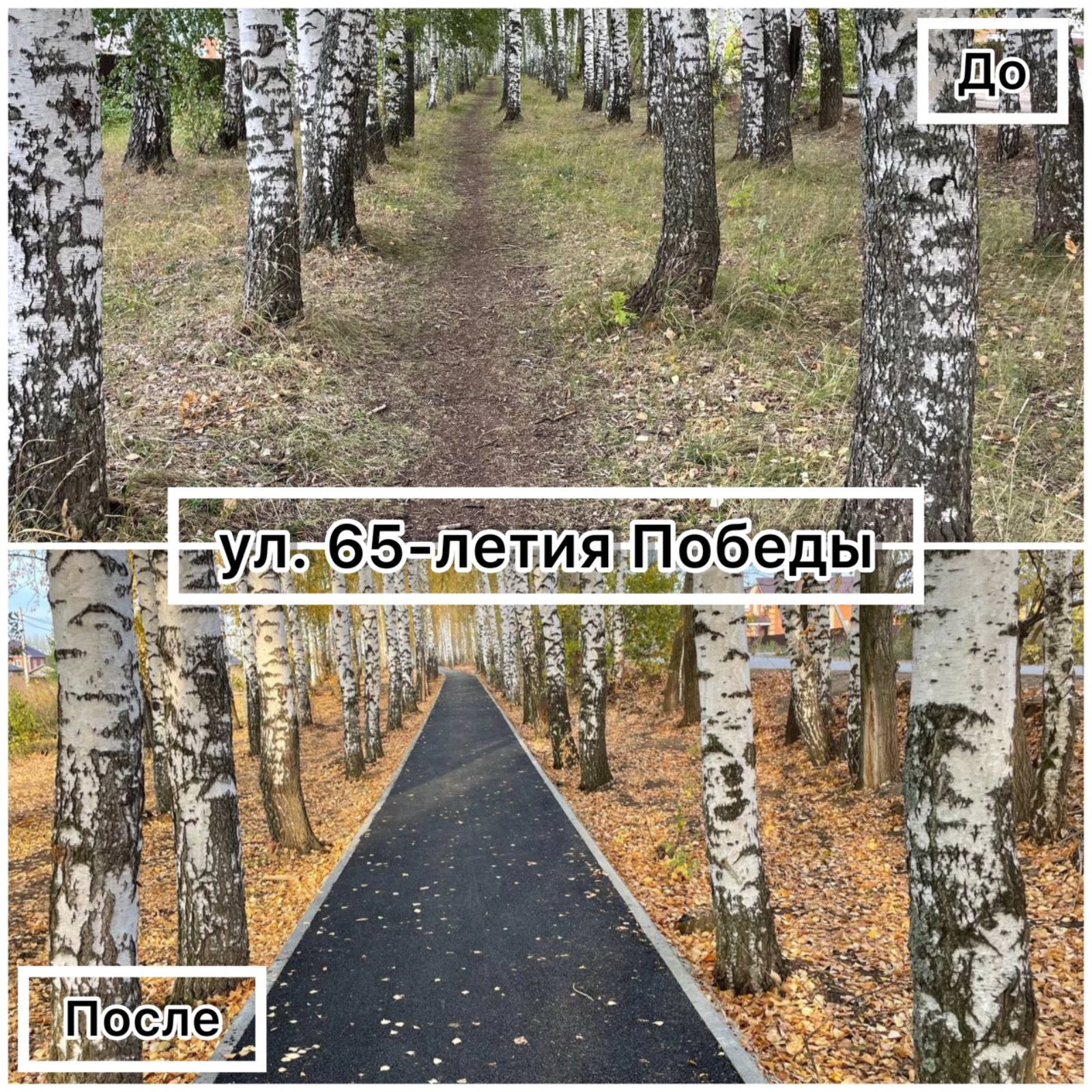 ТГ-канал Ратмира Мавлиева