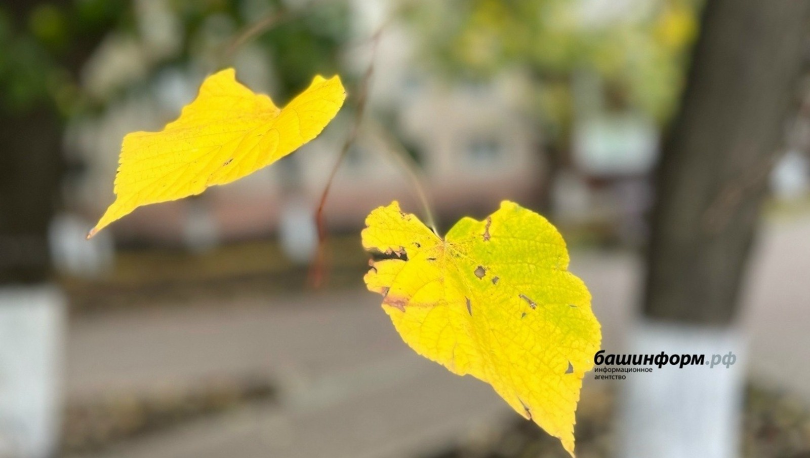 Архив ИА Башинформ