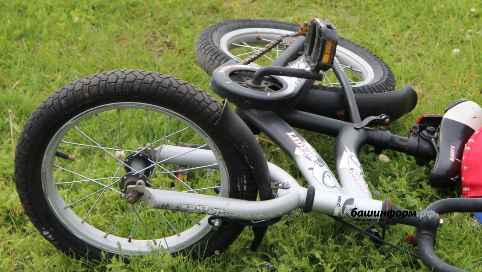 Ксения Калинина  ИА «Башинформ»