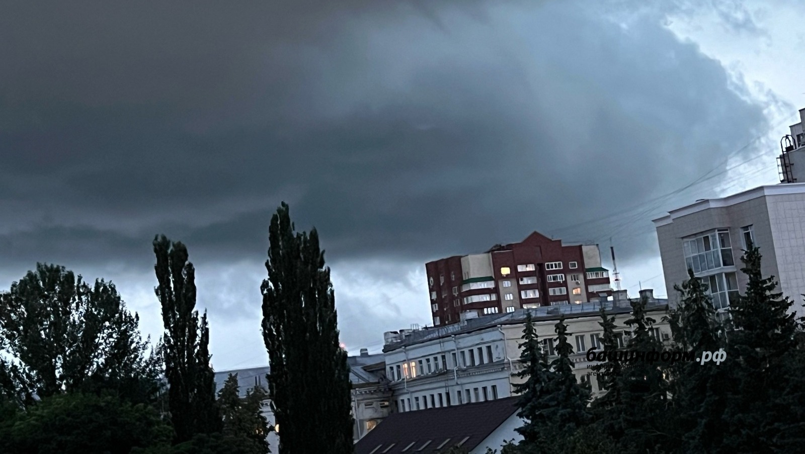Ксения Калинина