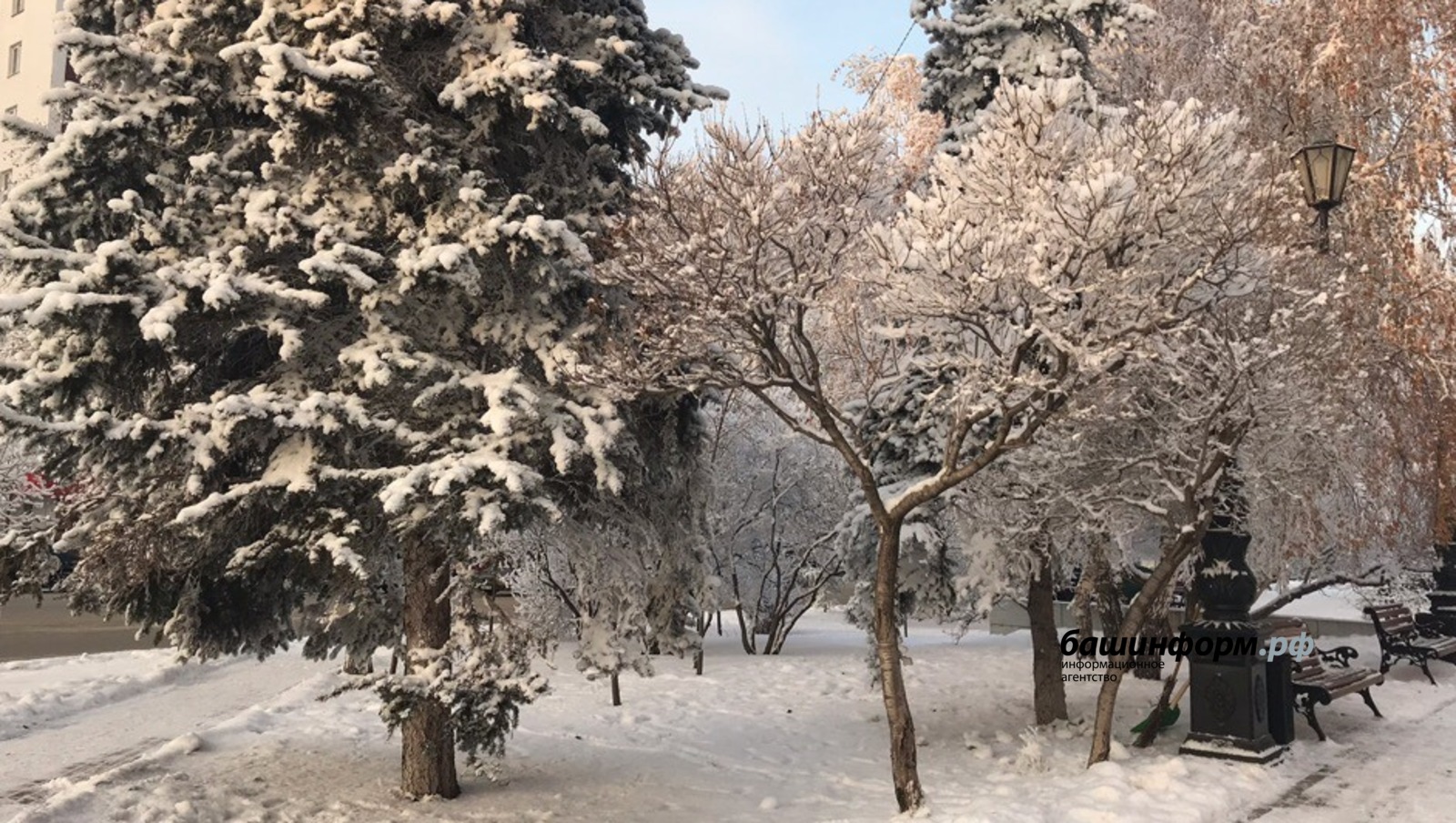 Ксения Калинина