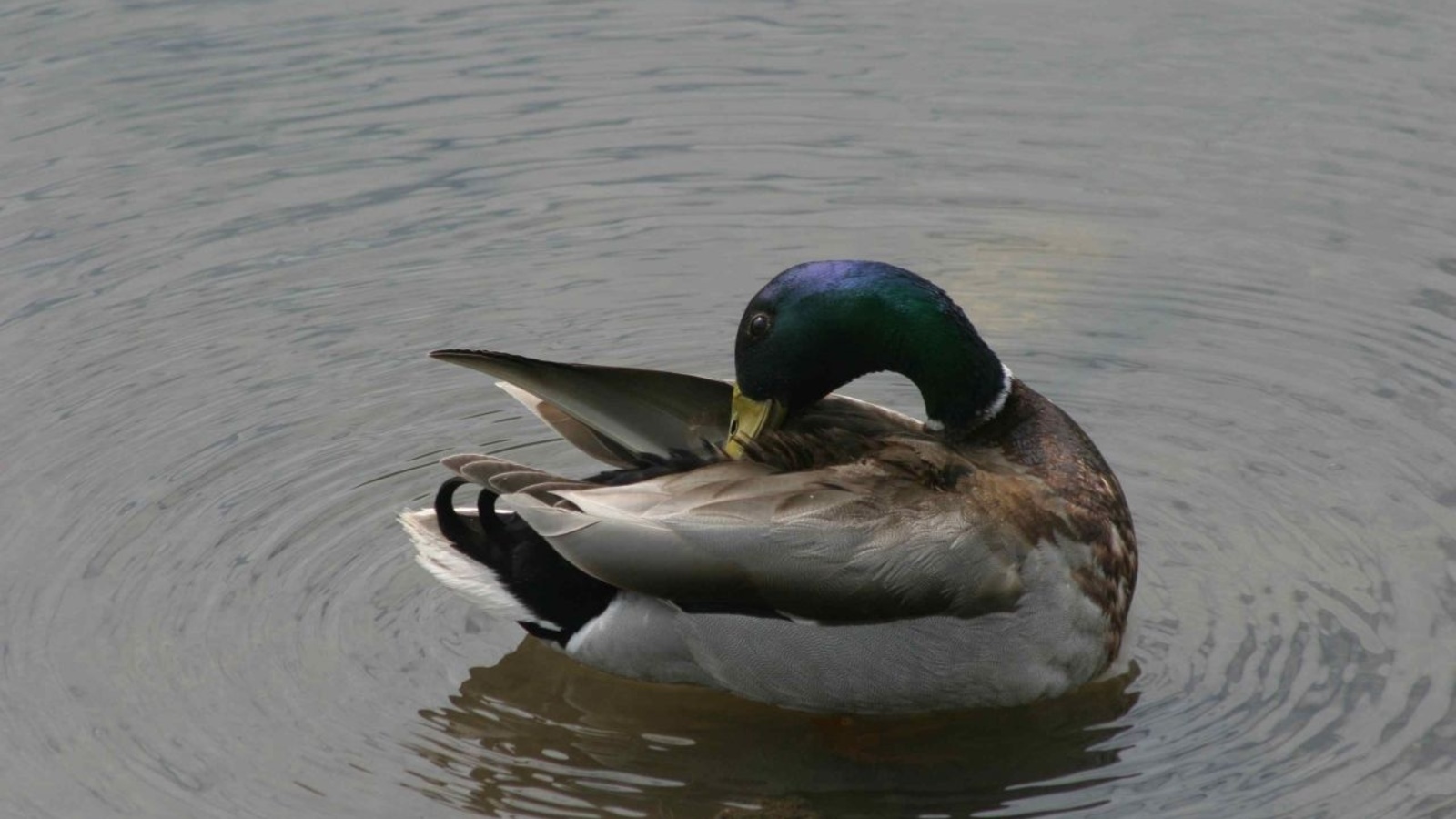 Олег Яровиков