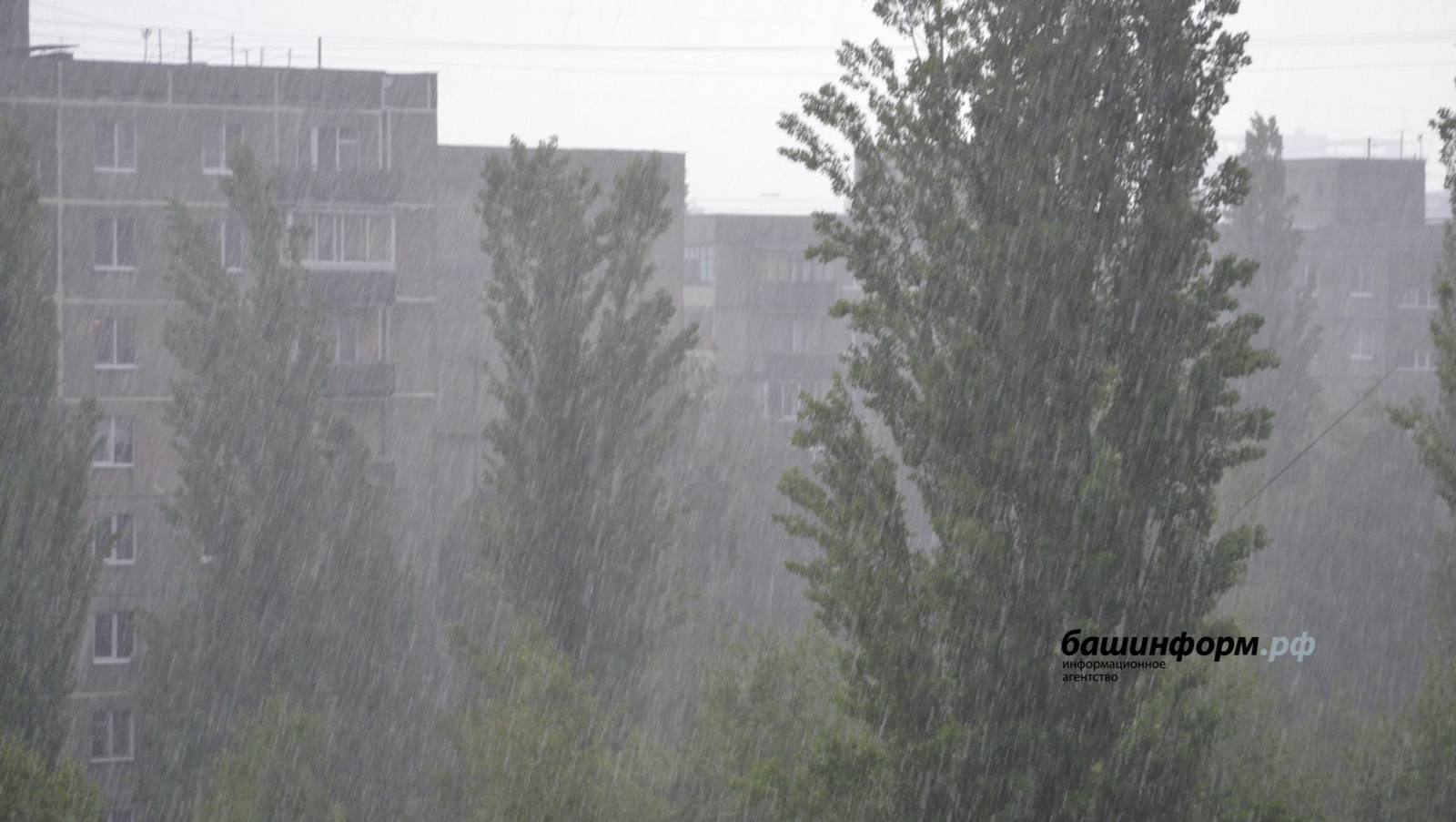 Ксения Калинина