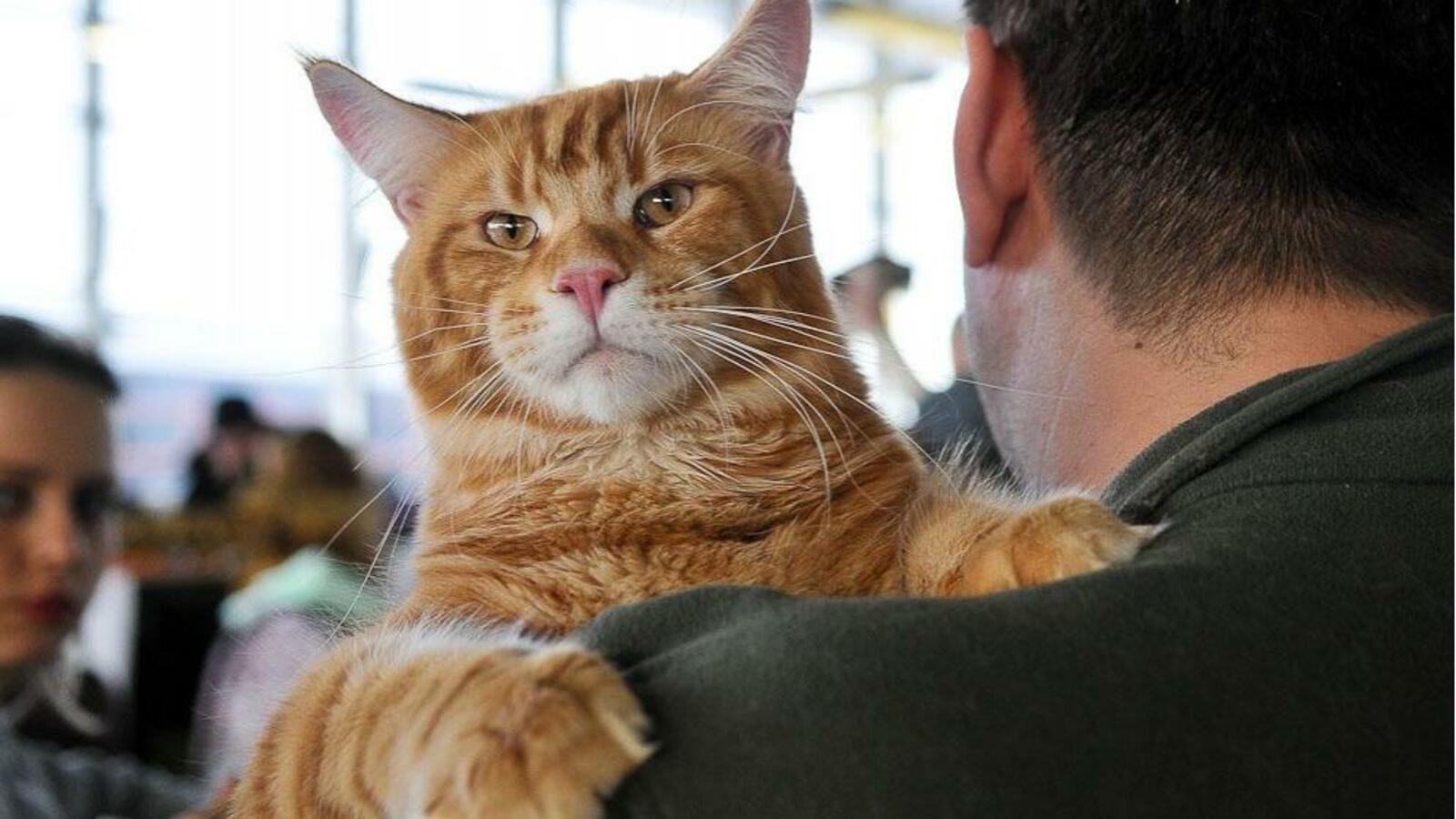 ИА «Башинформ»