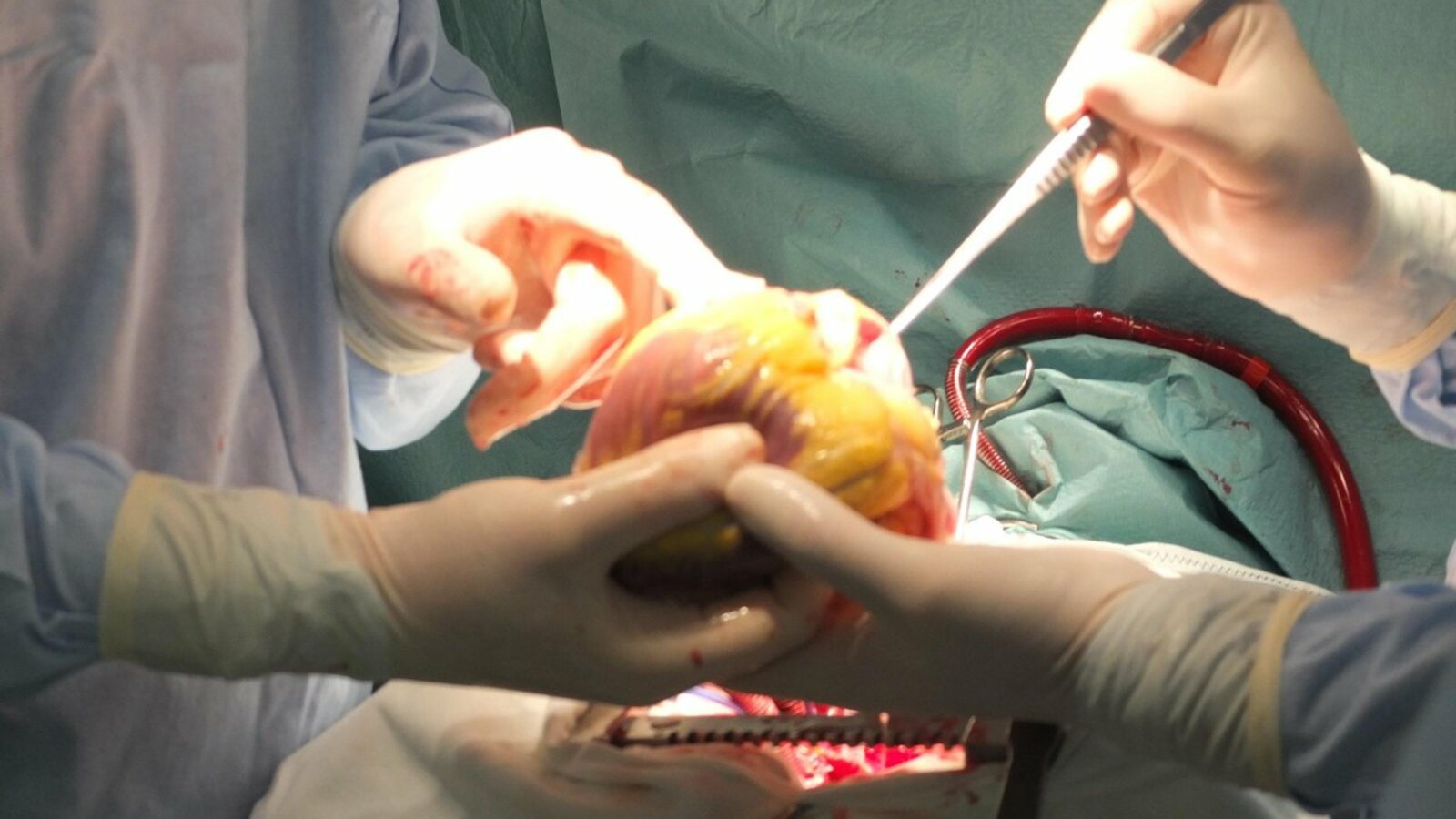 ИА «Башинформ»