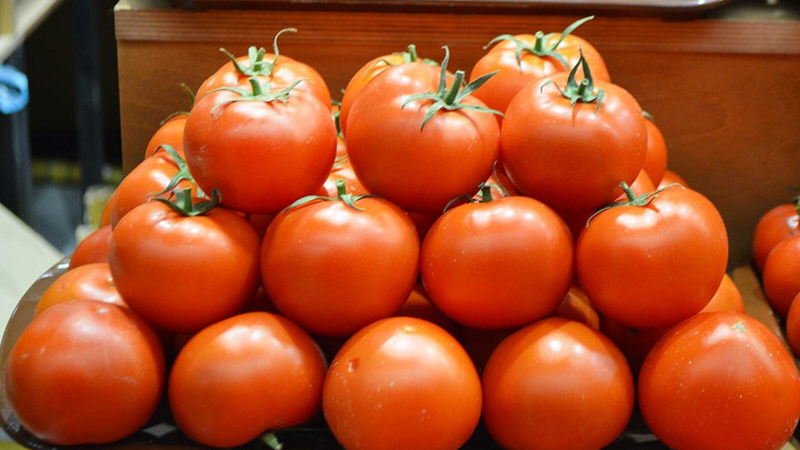 Ксения Калинина