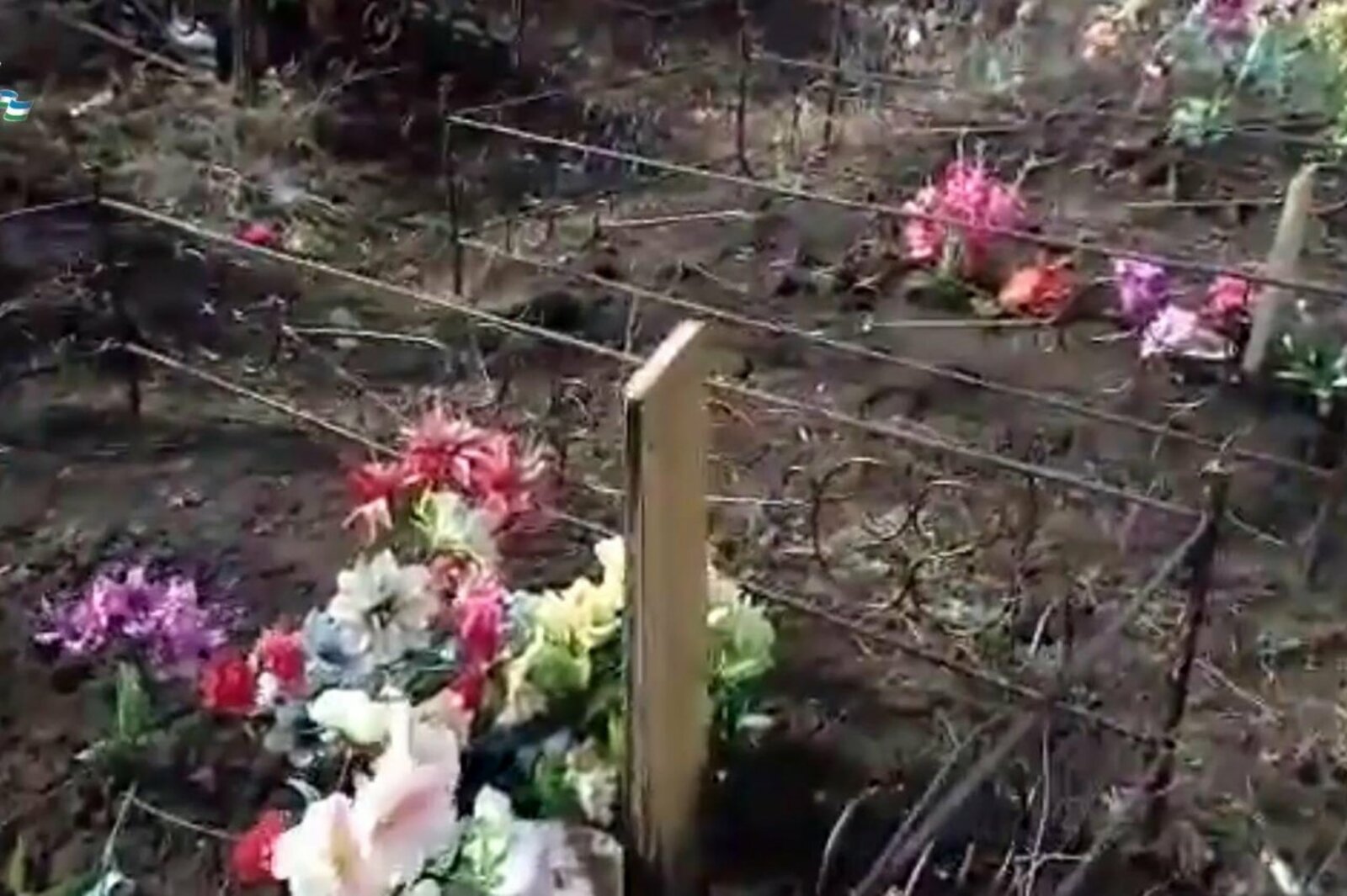 стоп-кадр видео МВД РБ