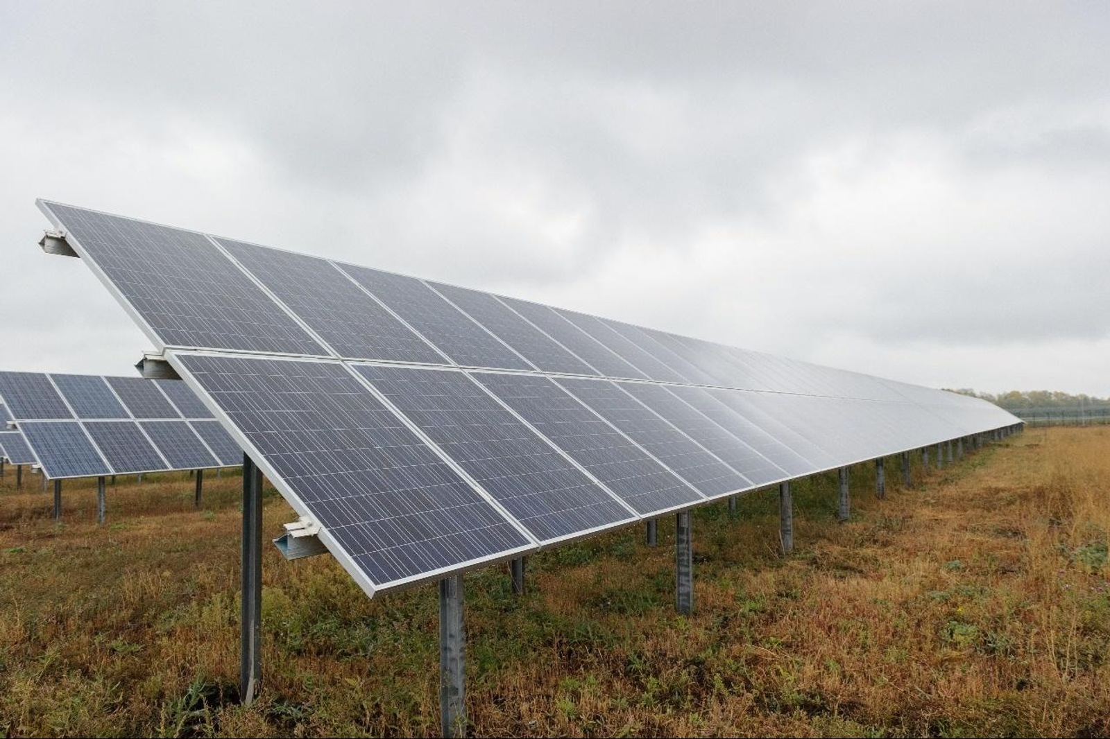 Башҡортостан Башлығының матбуғат хеҙмәте