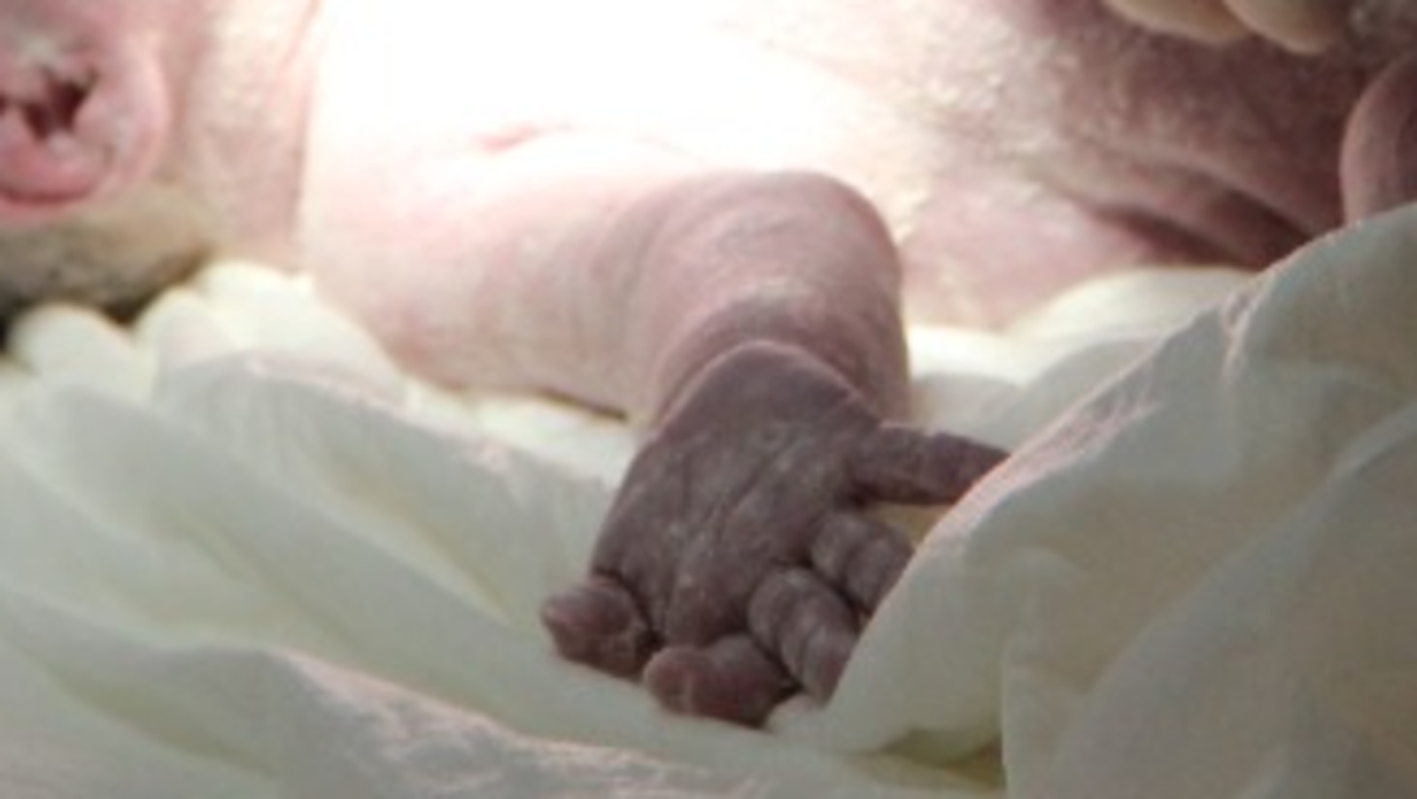 архив ИА Башинформ