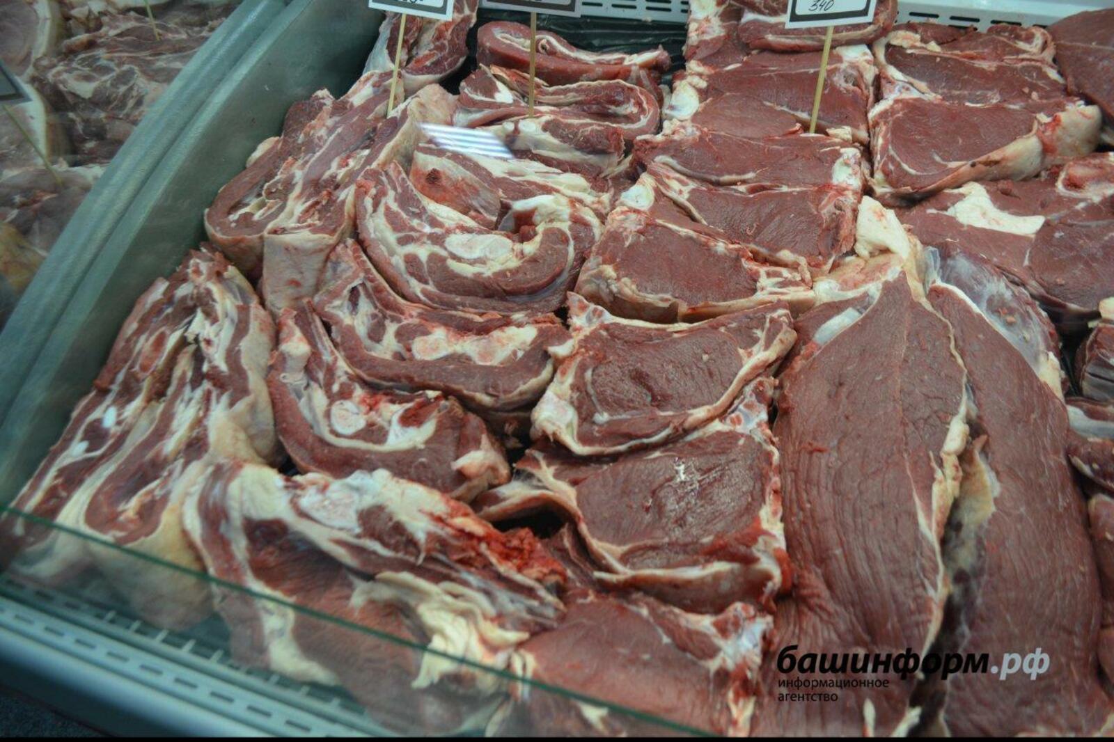 Ксения Калинина