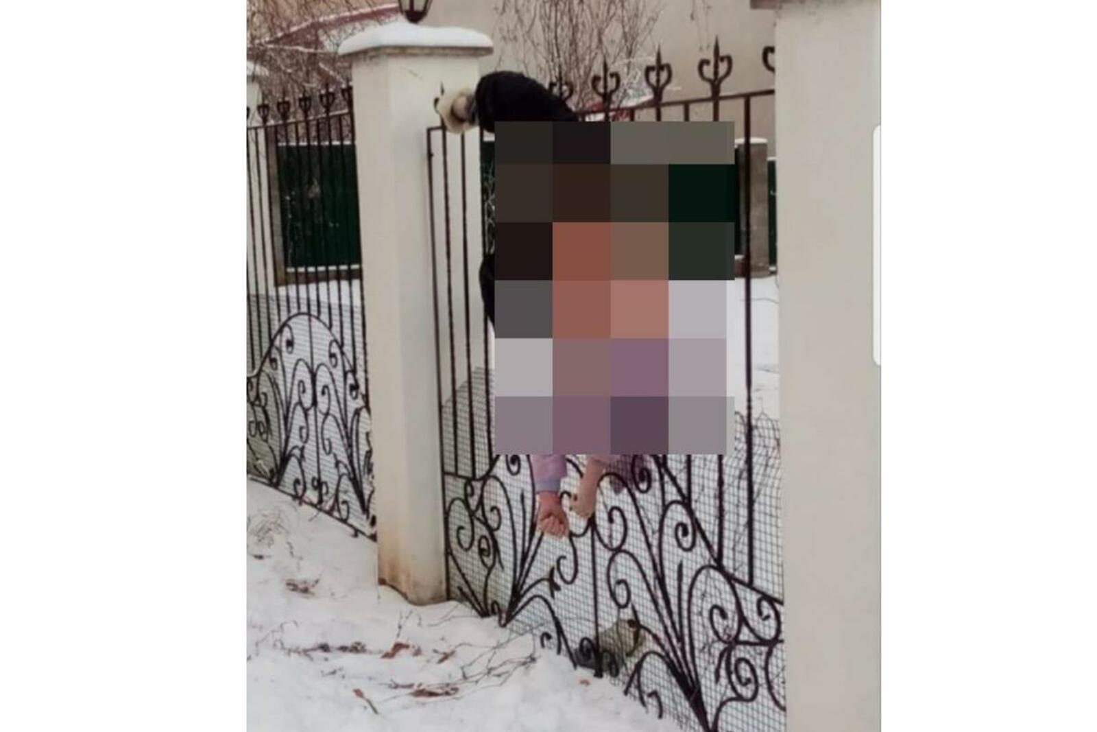соцсети