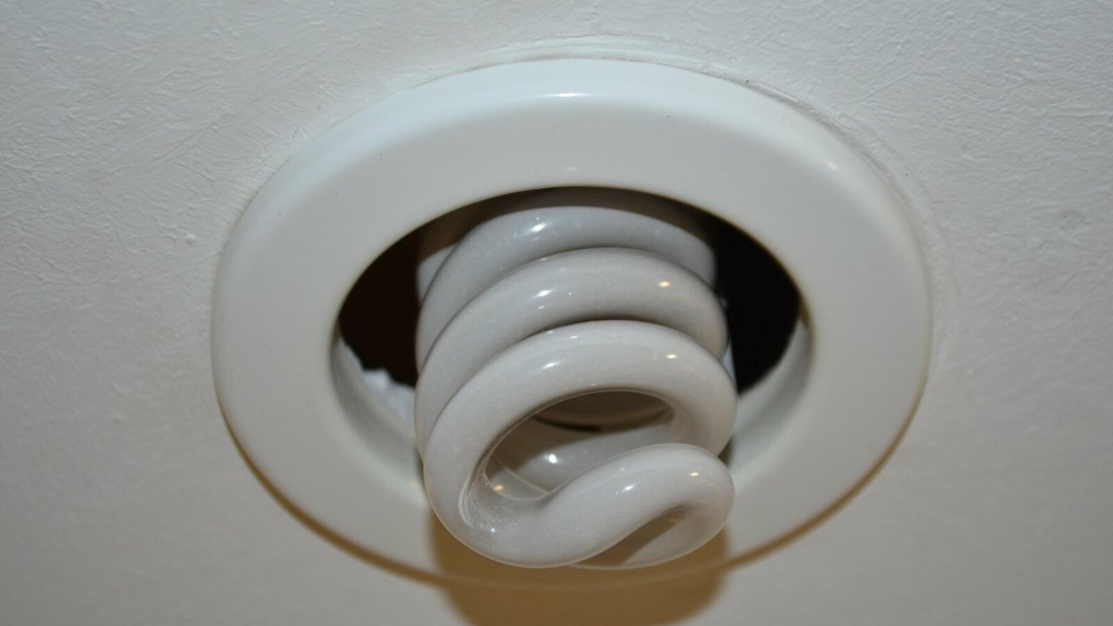 Ксения Калинина