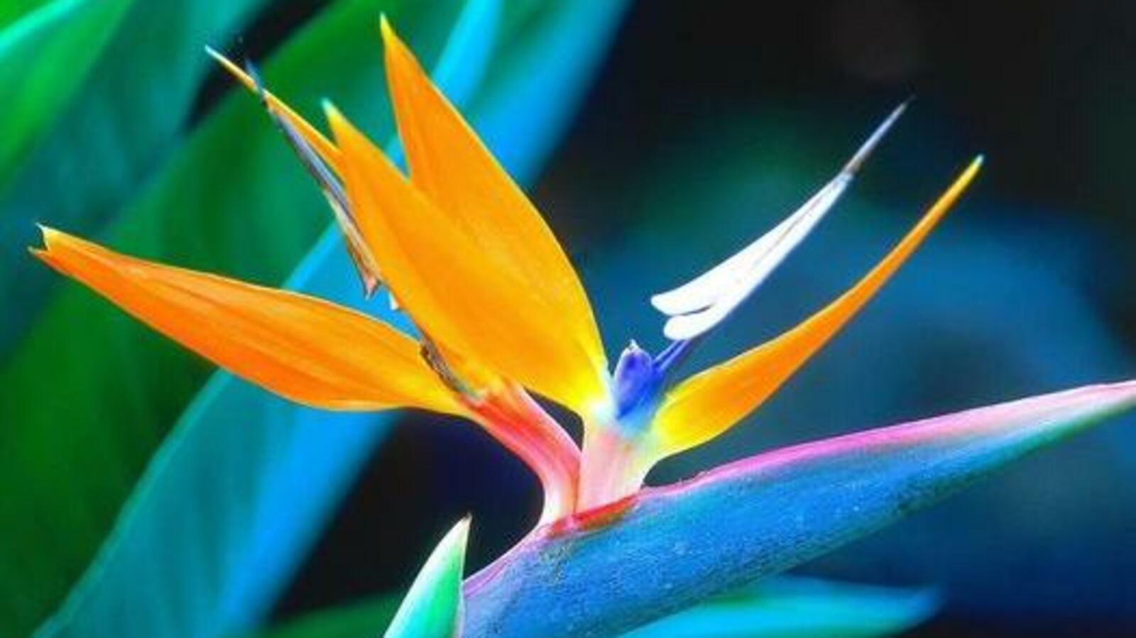 Администрация г. Уфы