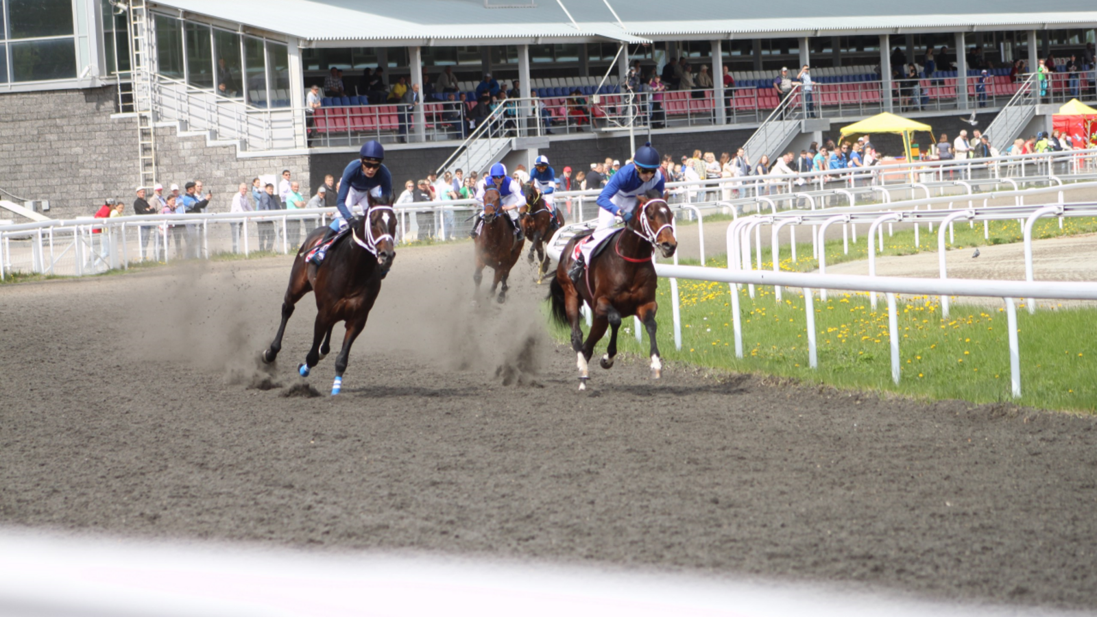 предоставлено ипподромом «Акбузат»