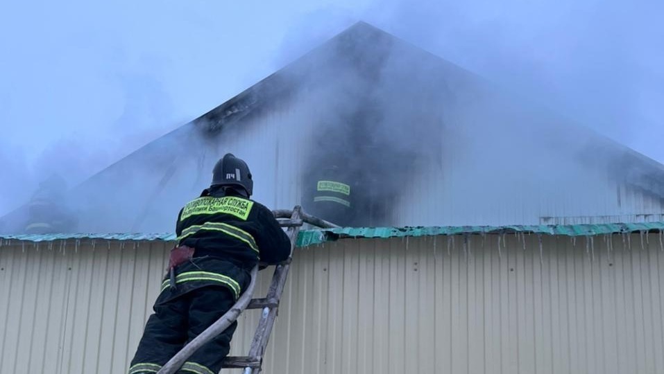 Госкомитет РБ по ЧС