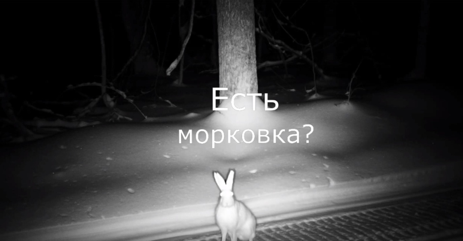 скриншот видео