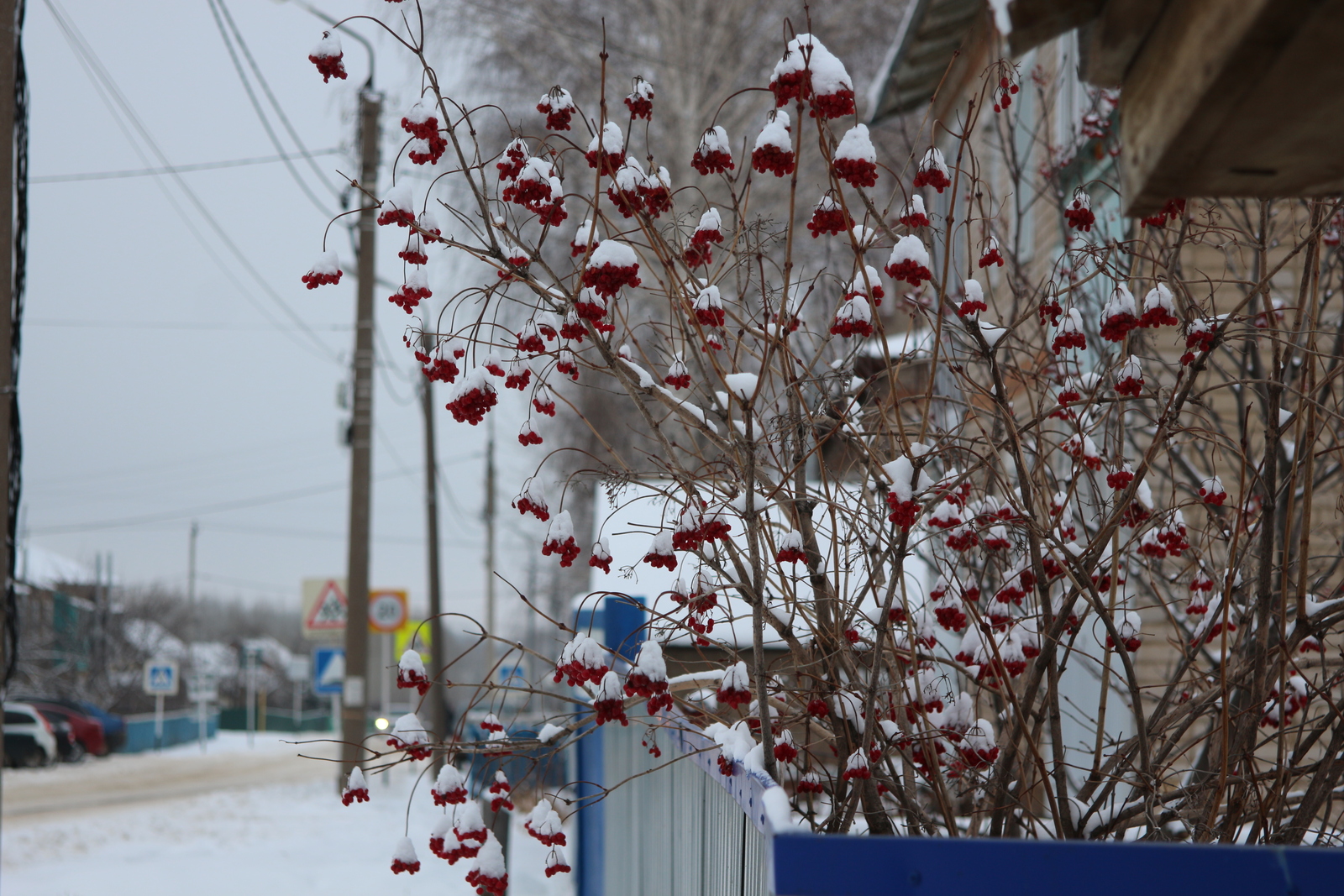 МЧС Башкирии предупреждает жителей республики о снегопаде и ледяном дожде
