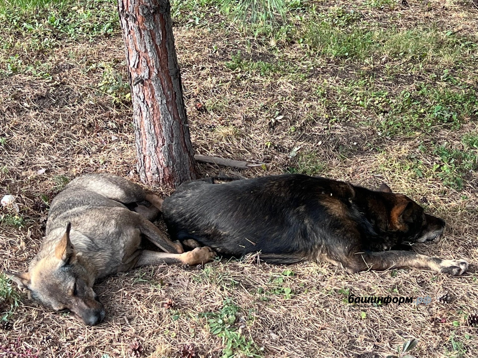 Ксения Калинина