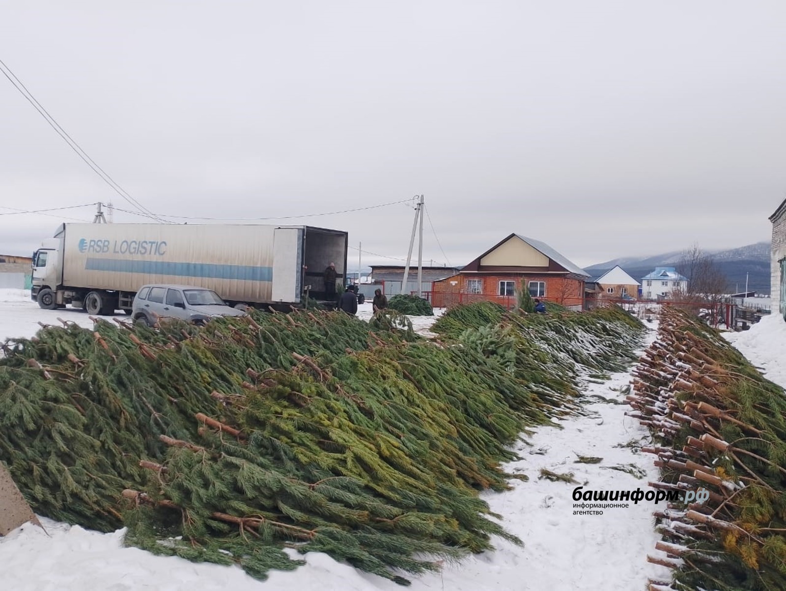 Россельхознадзор по РБ
