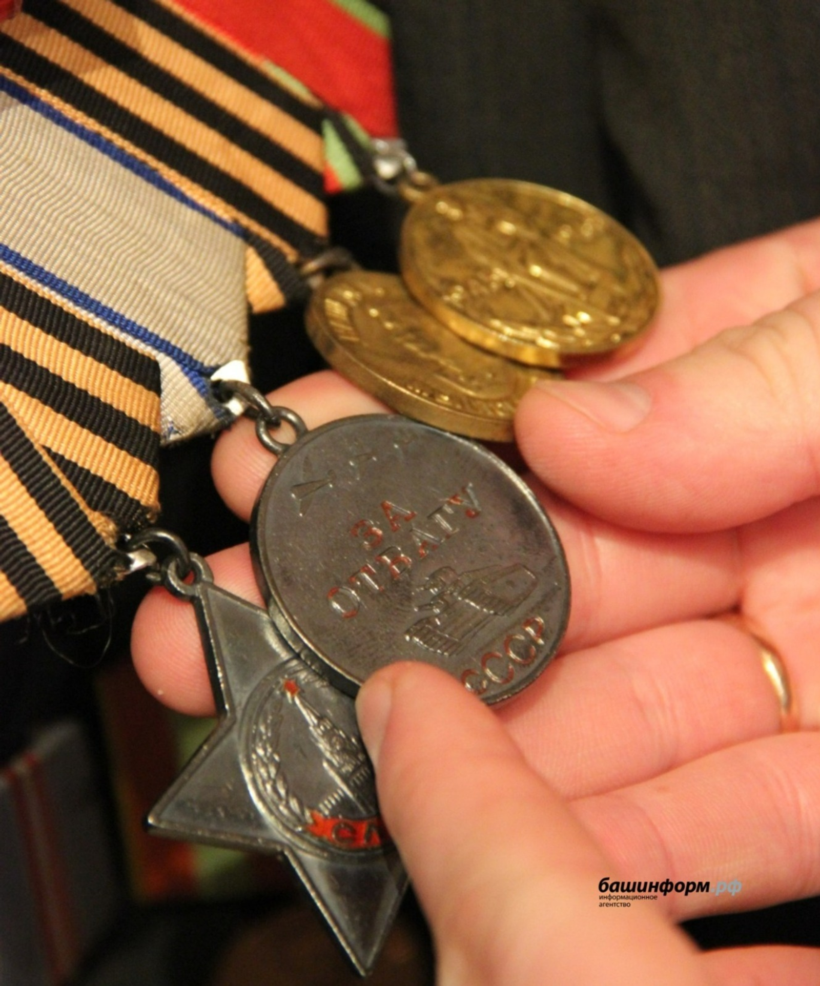 Ксения Калинина, архив