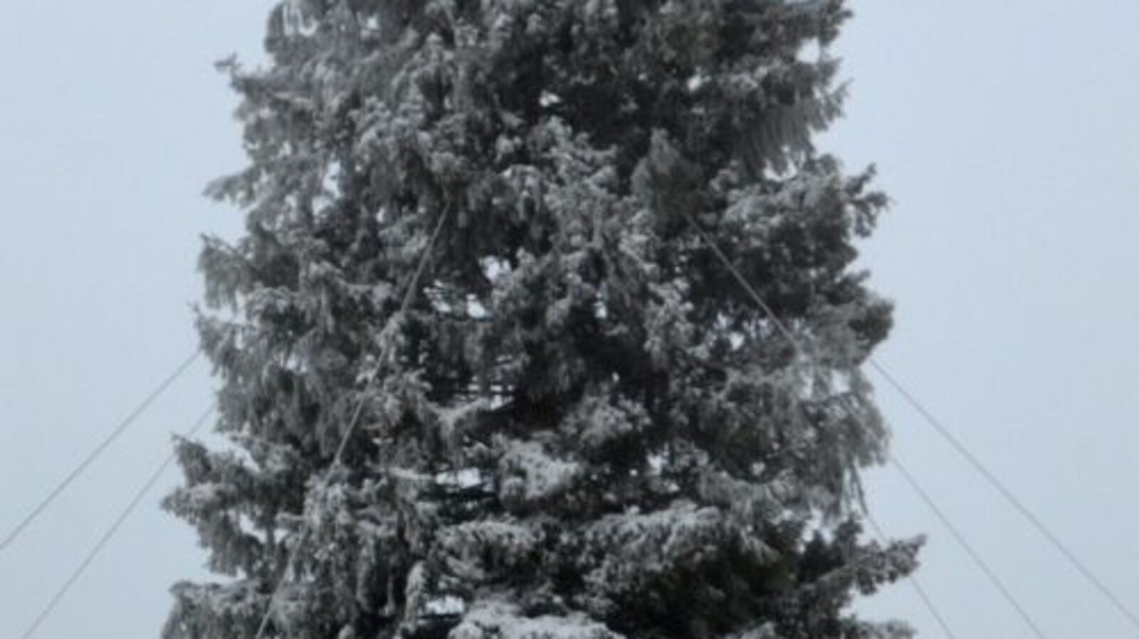 пресс-служба администрации Уфы