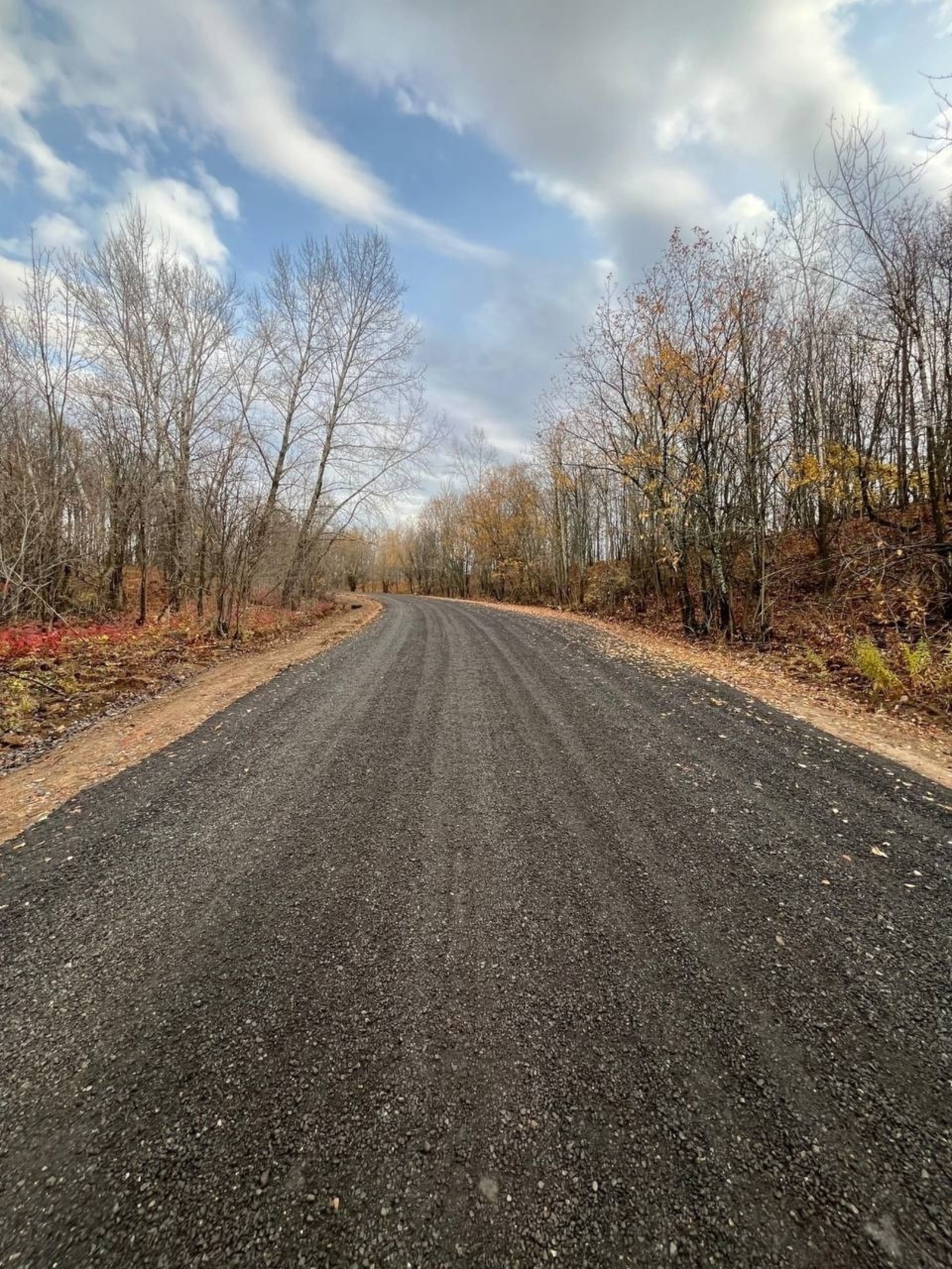 Николай Ельников Соцсети