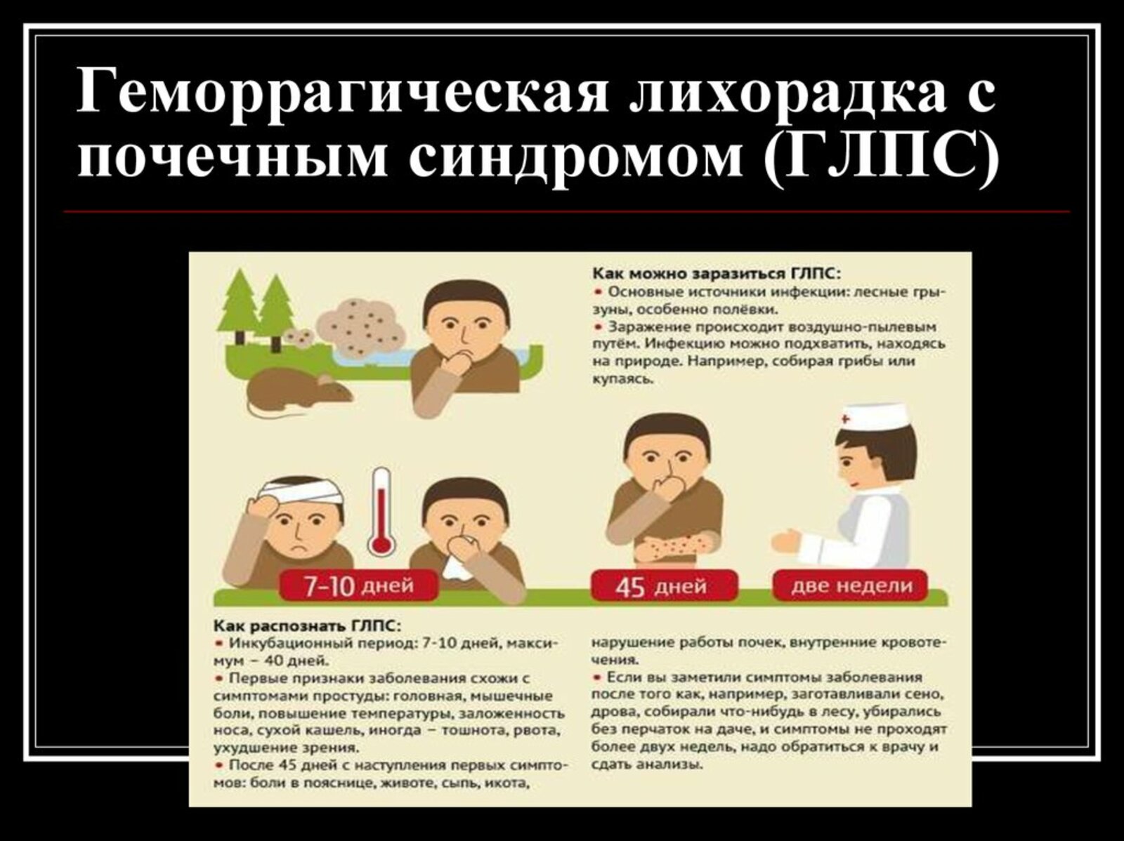 Роспотребнадзор предупреждает о росте заболевания геморрагической лихорадкой в Башкирии