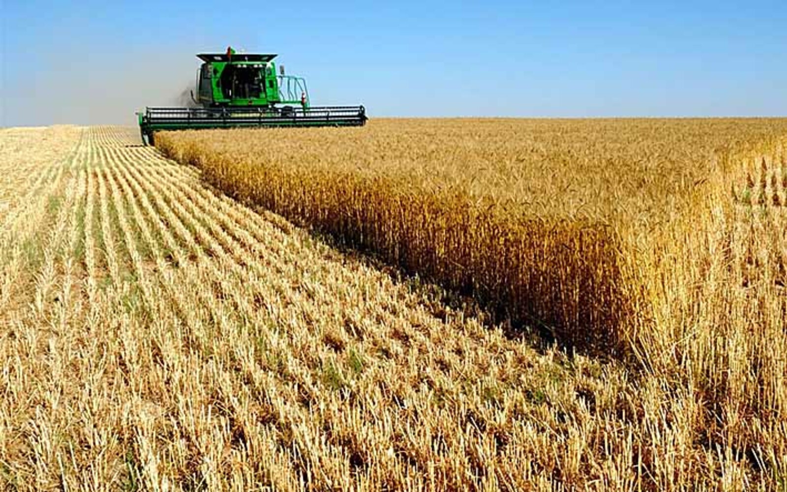 Башкирия активно реализует зерно и продукты его переработки