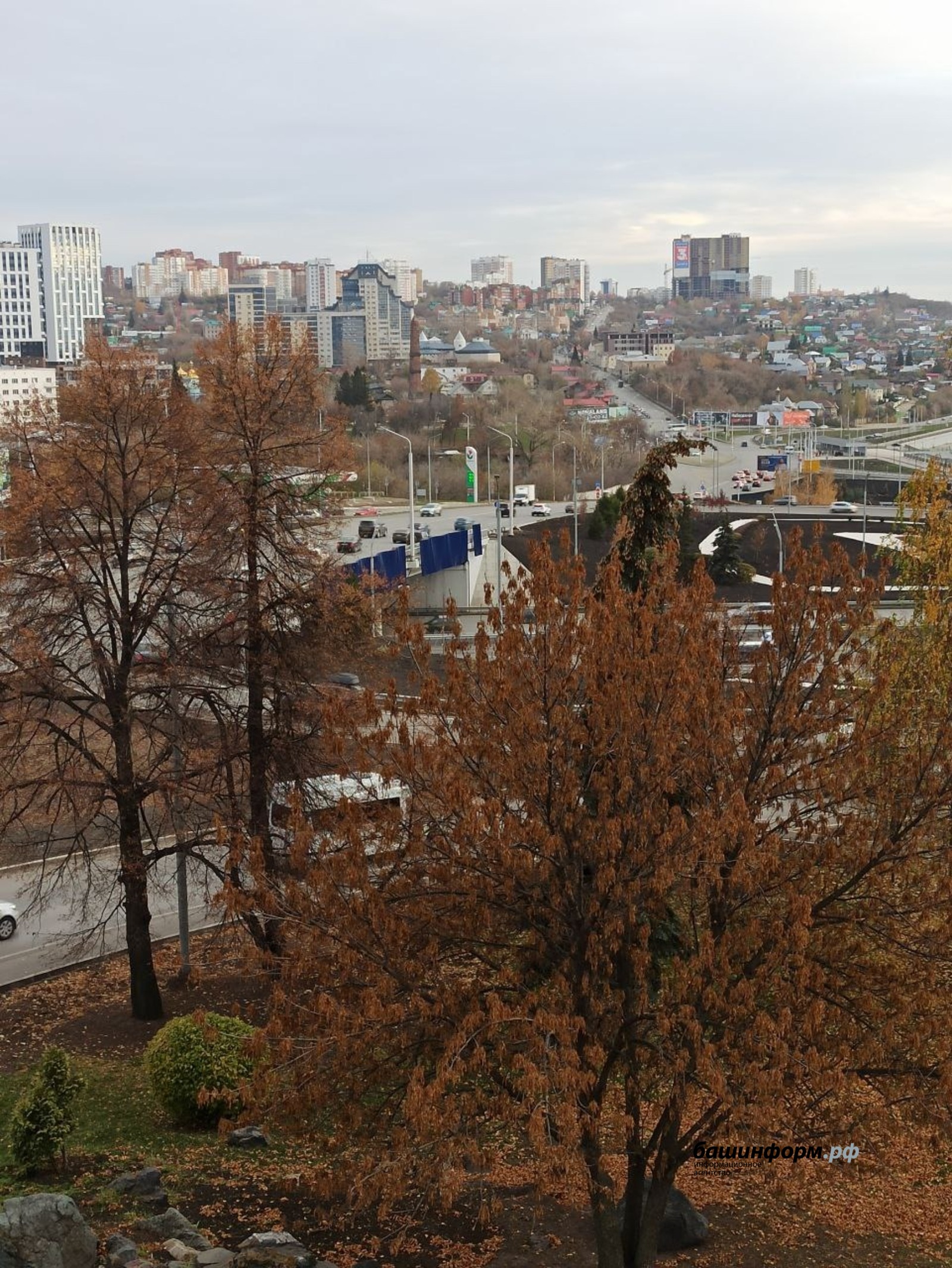 Эдуард Кускарбеков