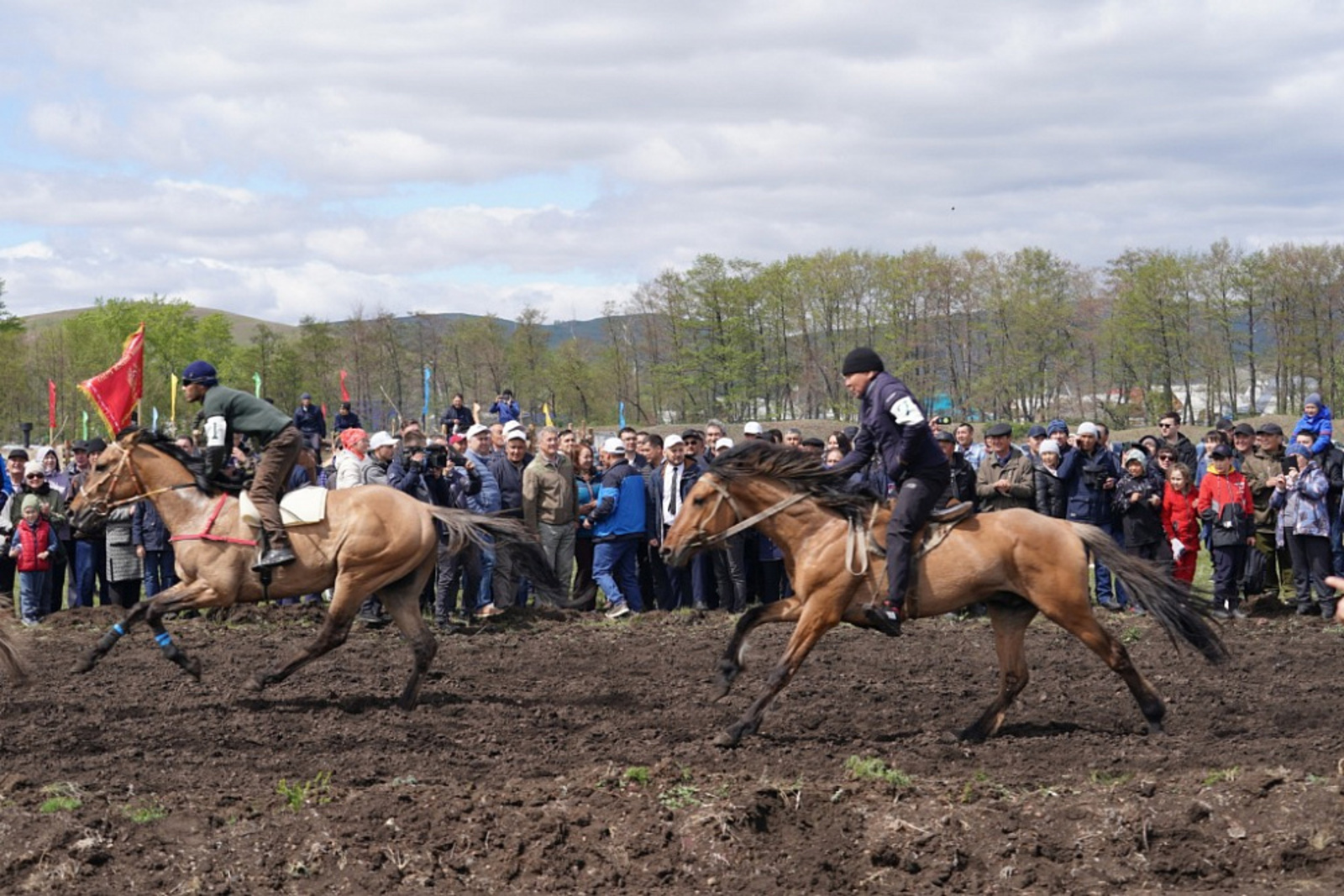 Радий Хабиров предложил ежегодно проводить фестиваль, посвящённый башкирской породе лошадей
