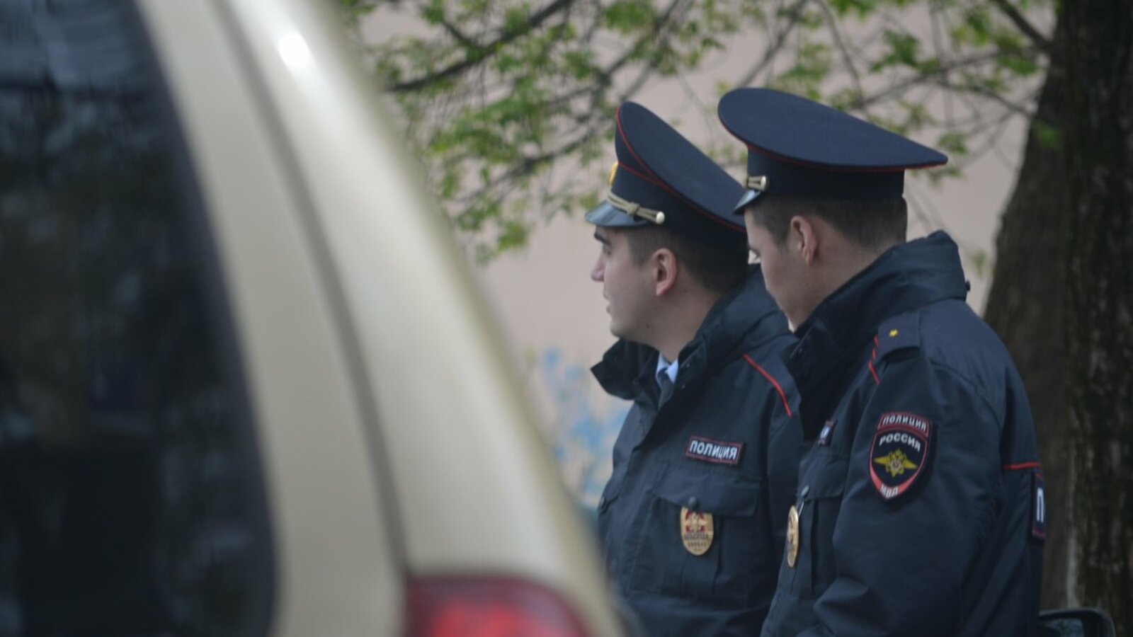 Ксения Калинина