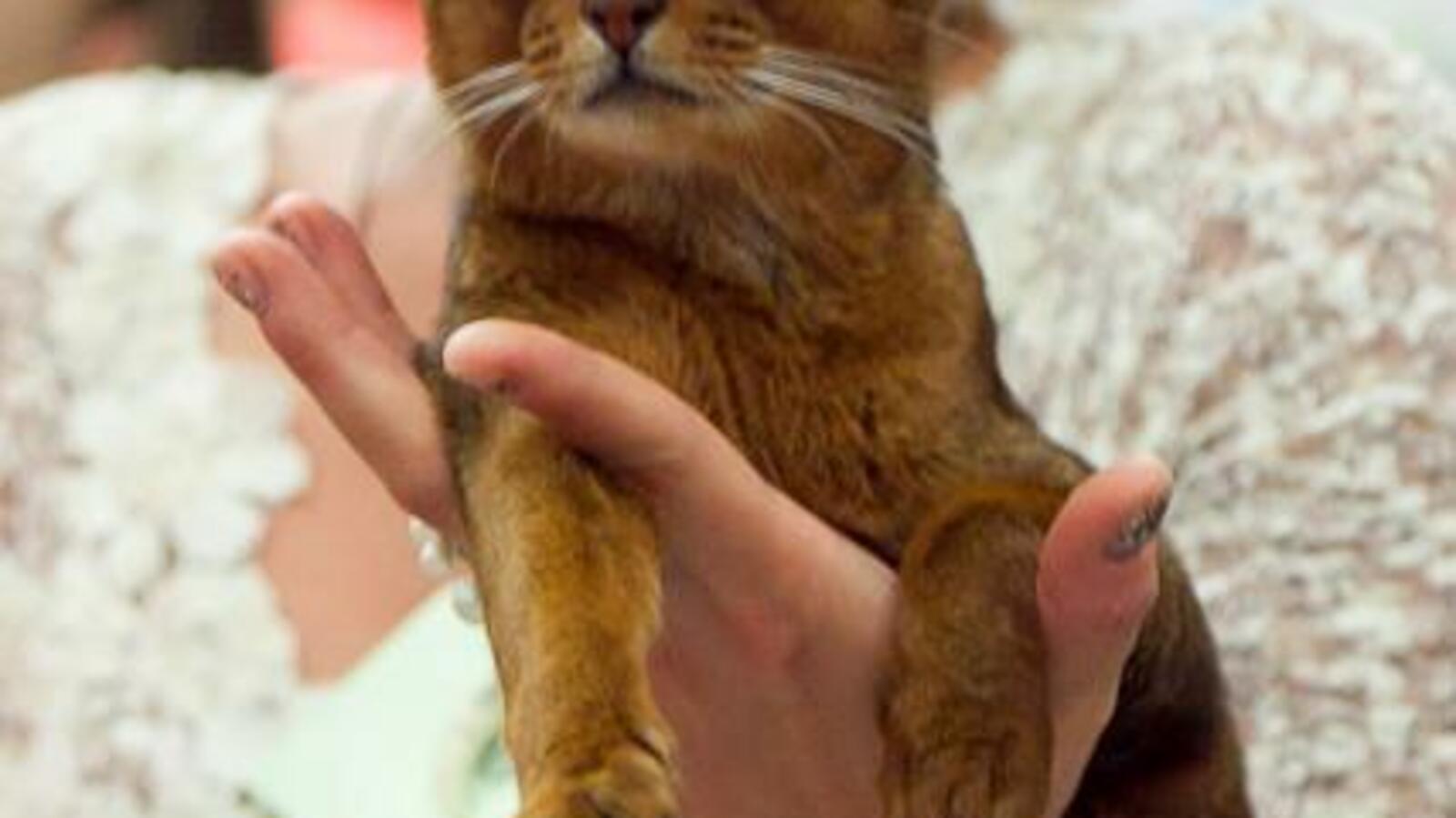 пресс-служба администрации Уфы