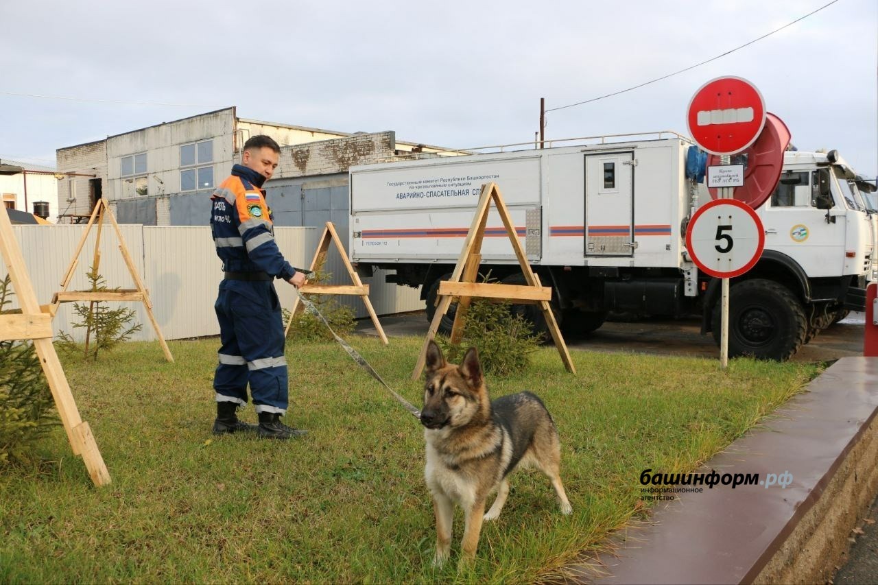 телеграм-канал госкомитета РБ по ЧС