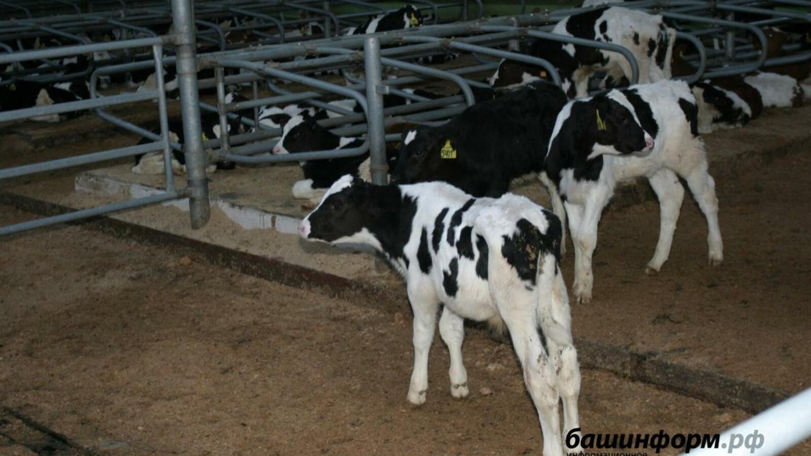 ИА «Башинформ»