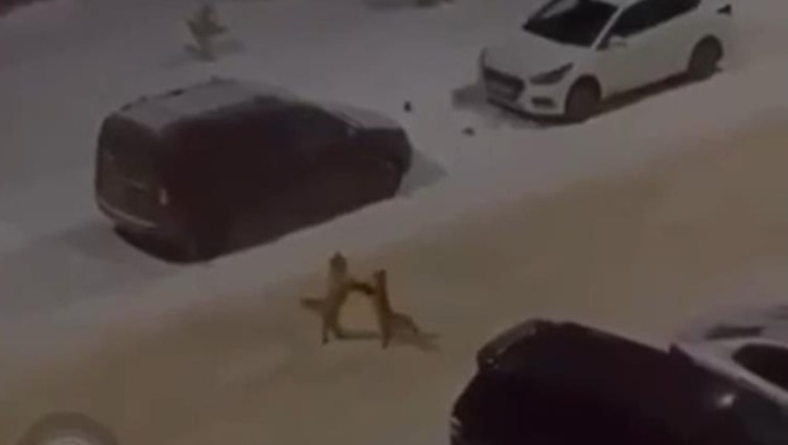 соцсети