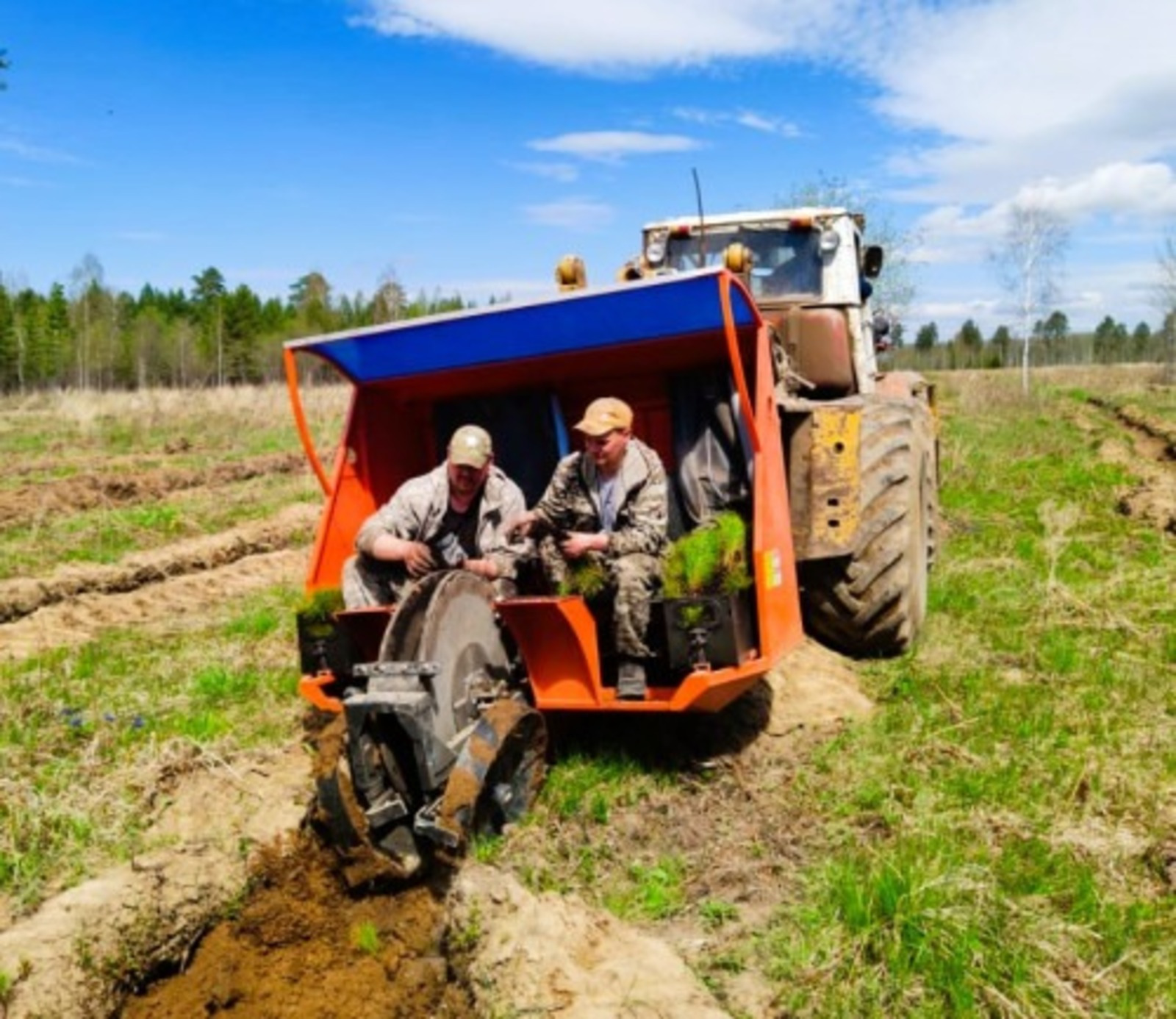 минлесохоз РБ минлесохоз РБ