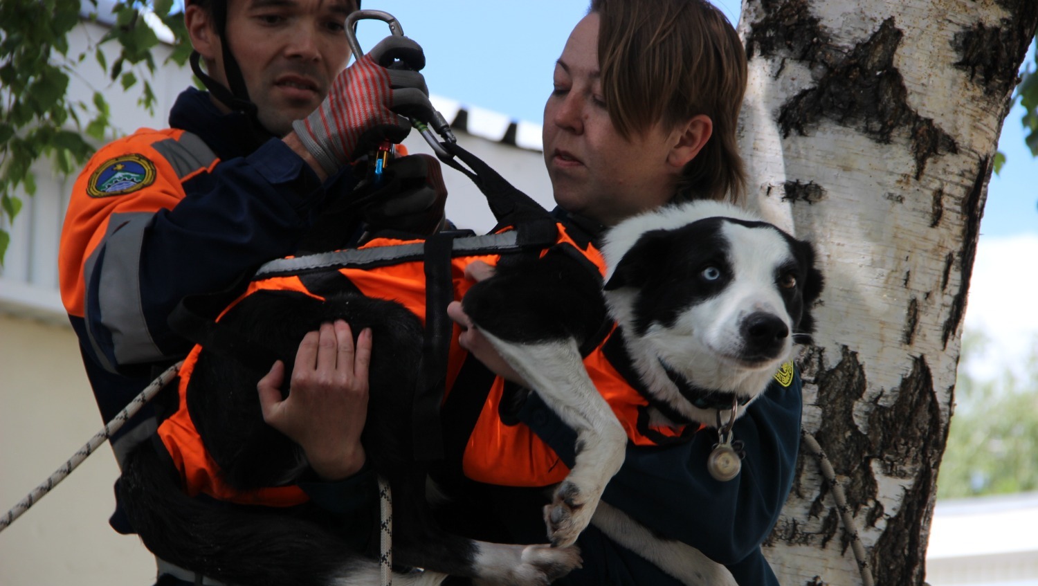 Ксения Калинина