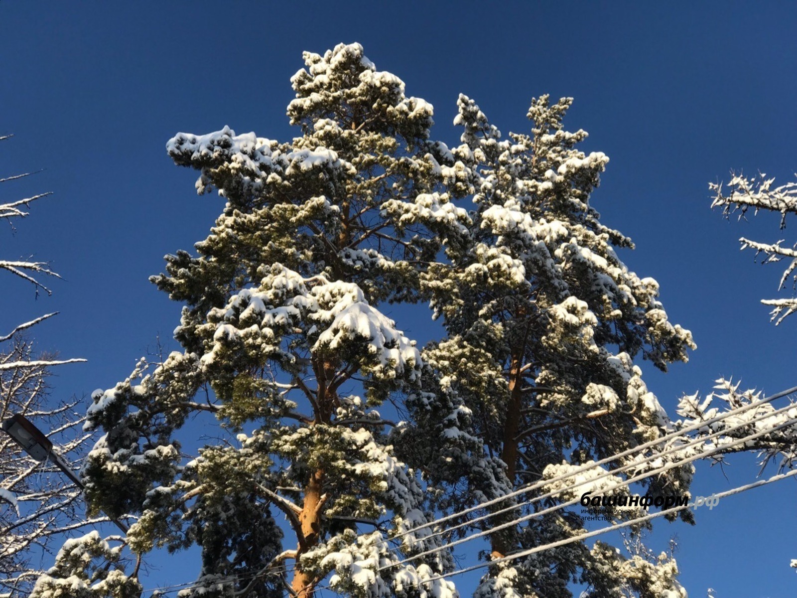 Ксения Калинина / «Башинформ» мәғлүмәт агентлығы