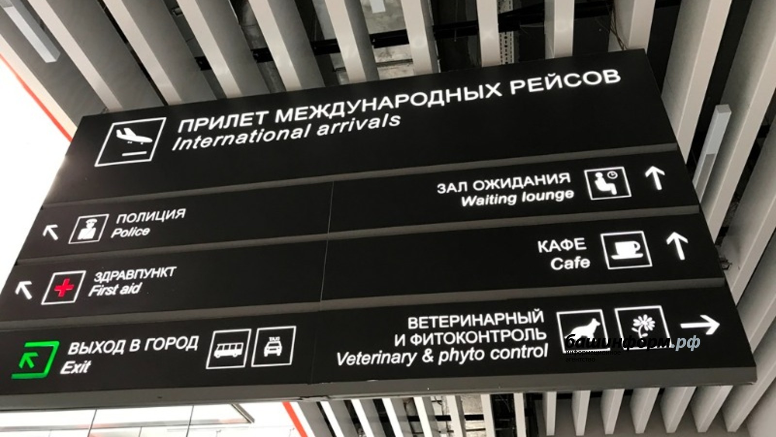 Ксения Калинина