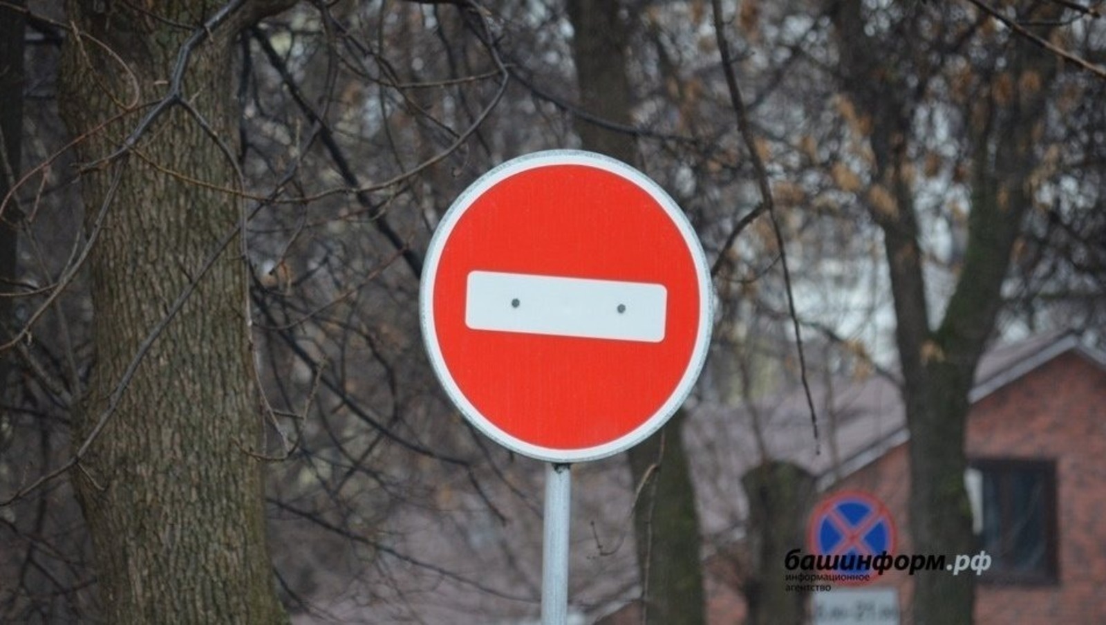 Ксения Калинина   ИА «Башинформ»