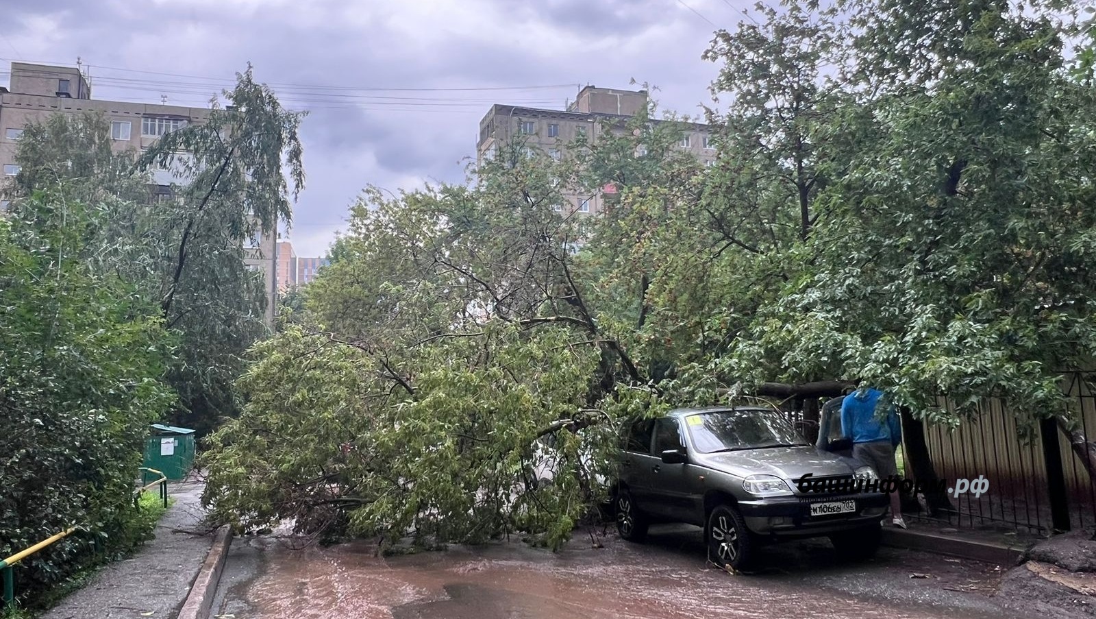 Ксения Калинина