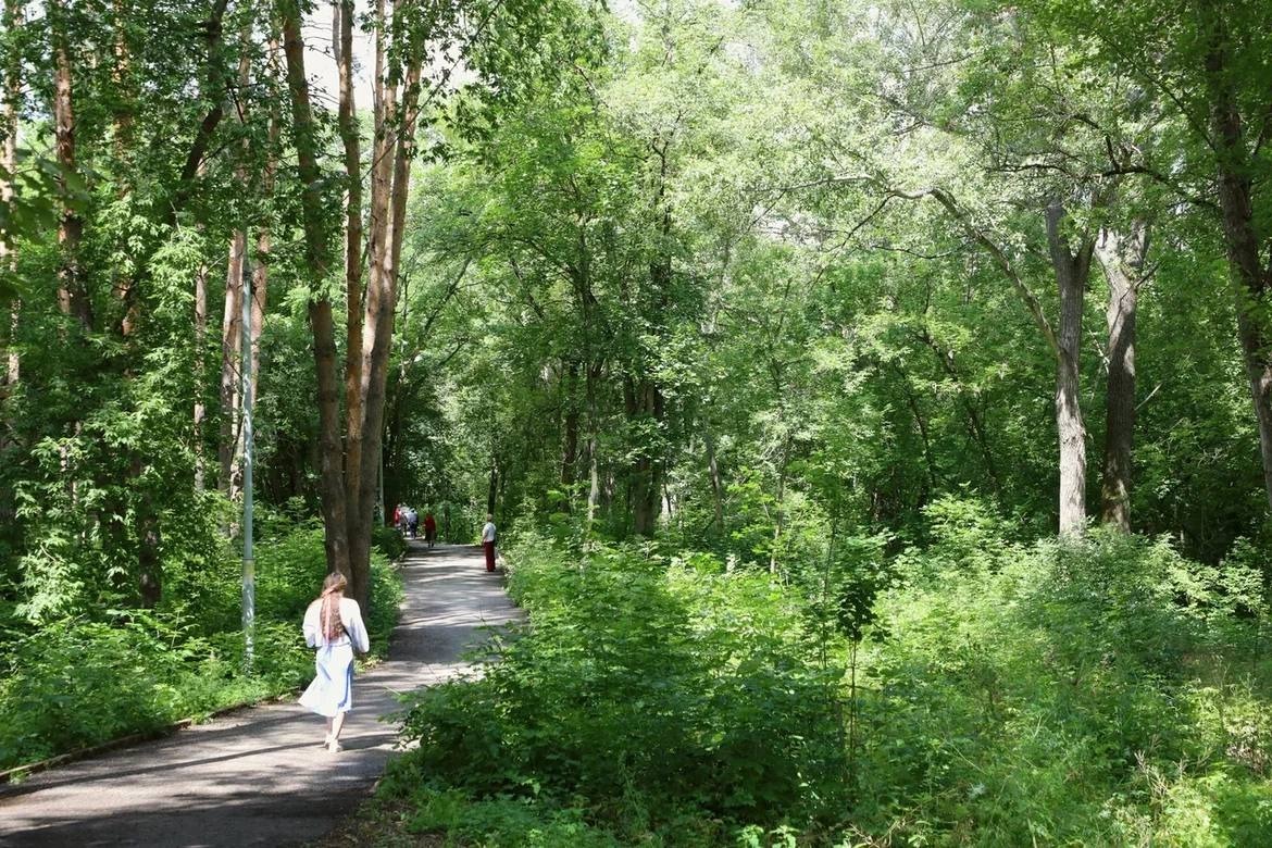 В Уфе благоустроят Непейцевский дендропарк