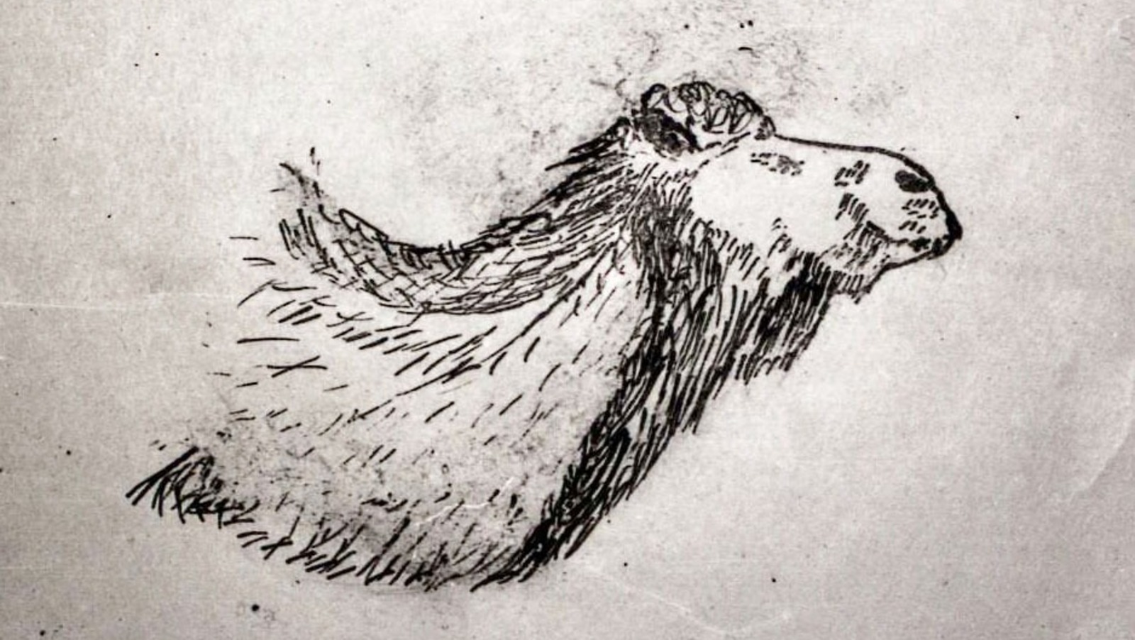 Прорисовка изображения А. Рюминым