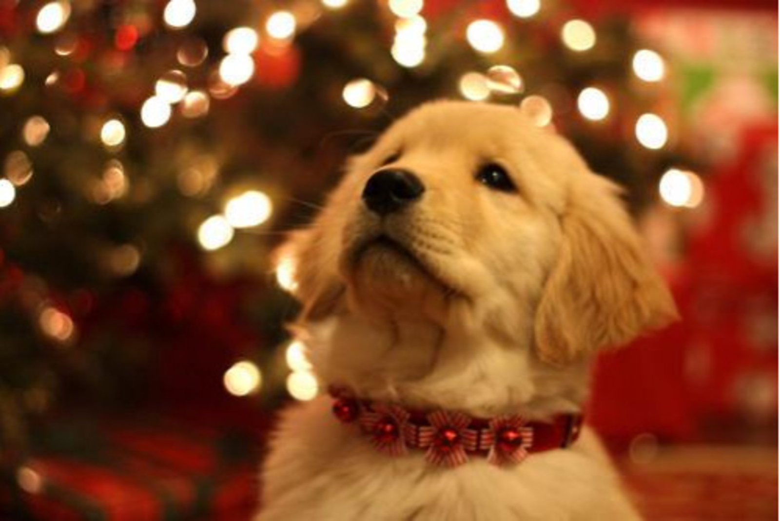 weheartit.com