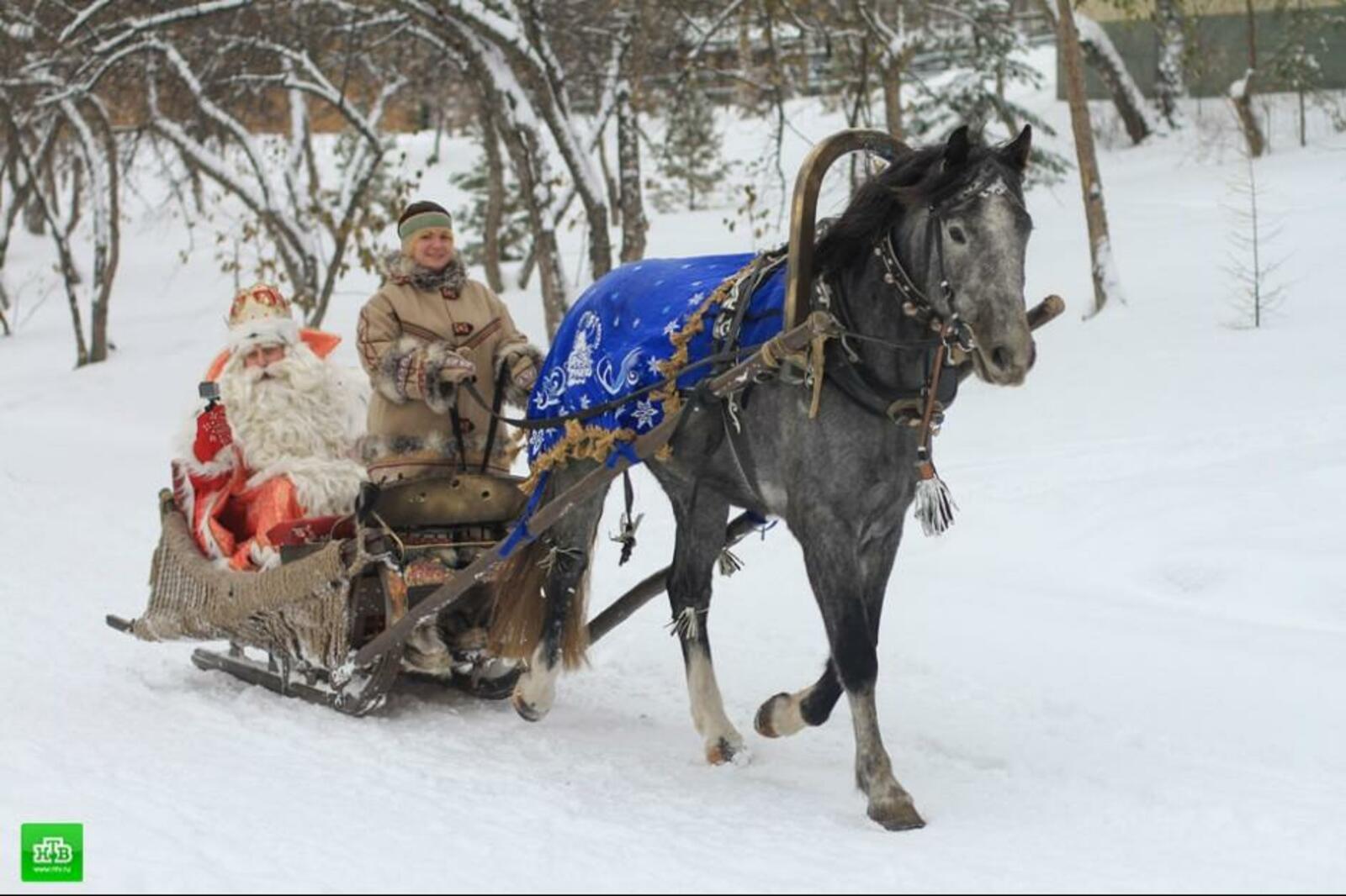 сайт НТВ