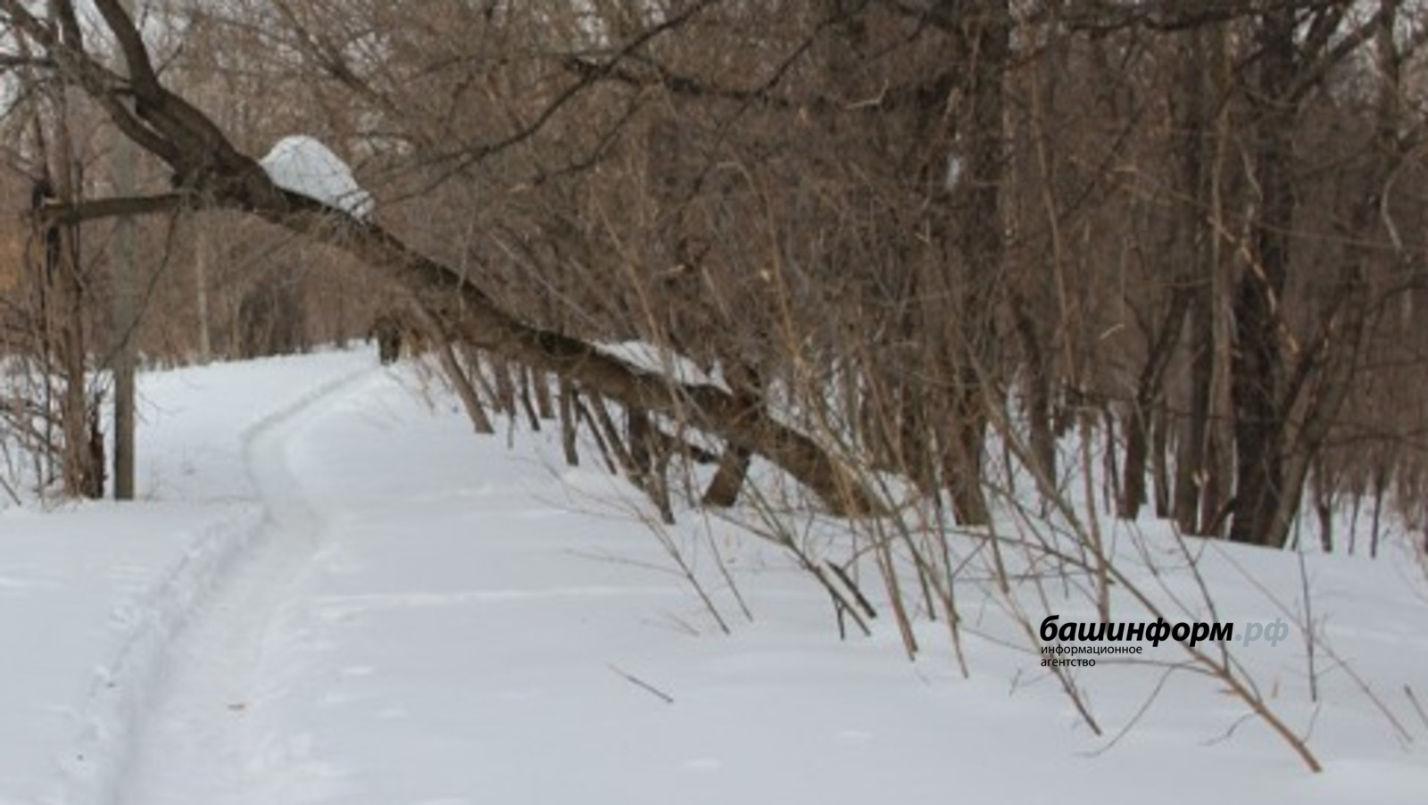 Ксения Калинина