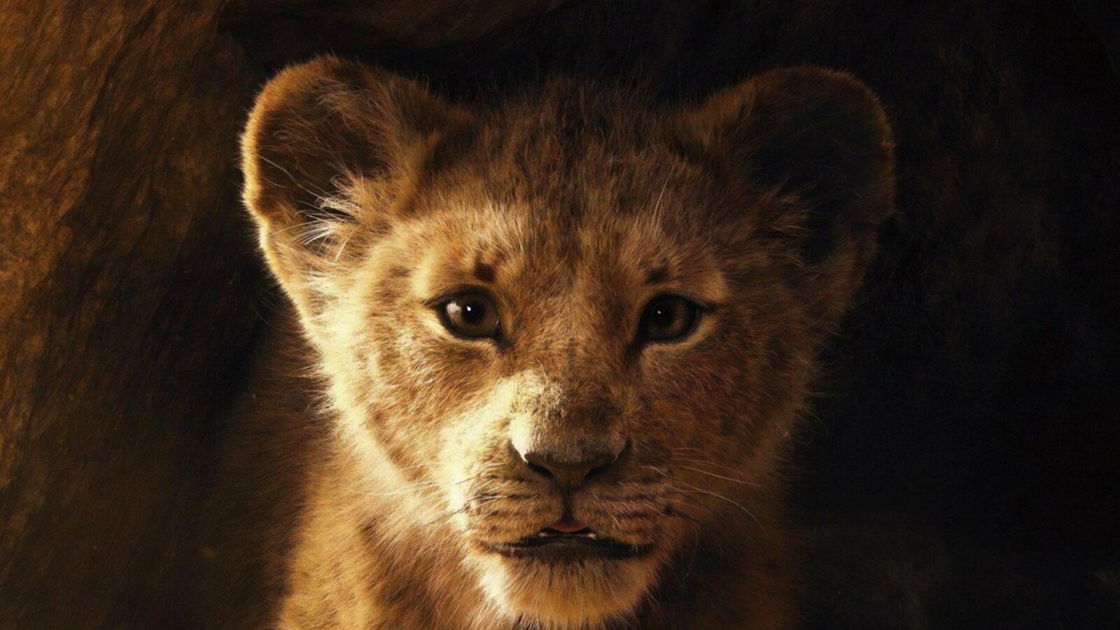 фрагмент фильма